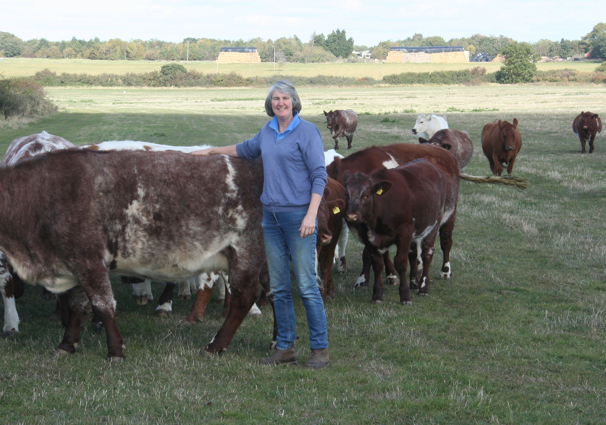 Vivien St Joseph, Tollesbury herd