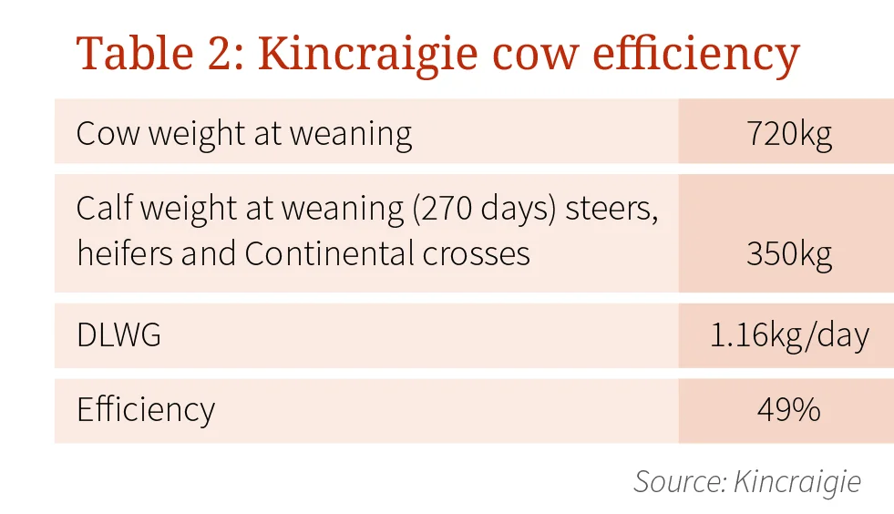 kincraigie-table-2.jpg