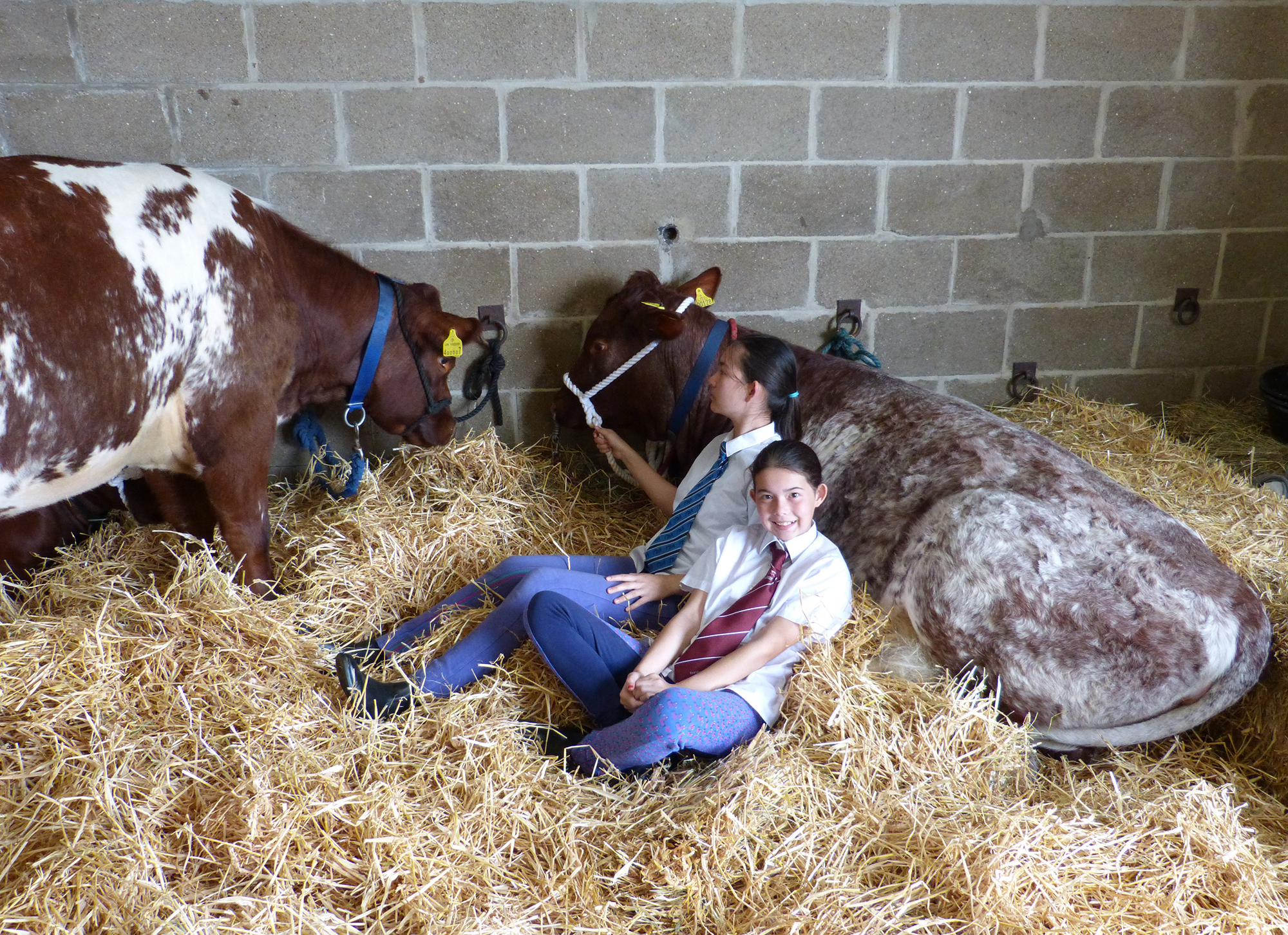 relaxing-after-showing.jpg