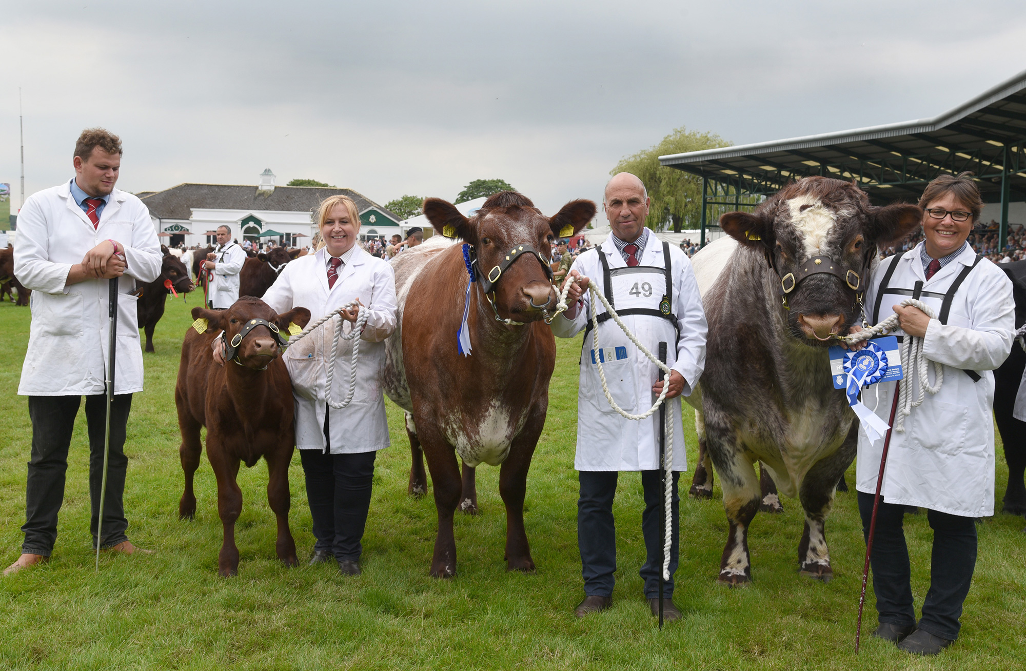 Great Yorkshire Show 2019