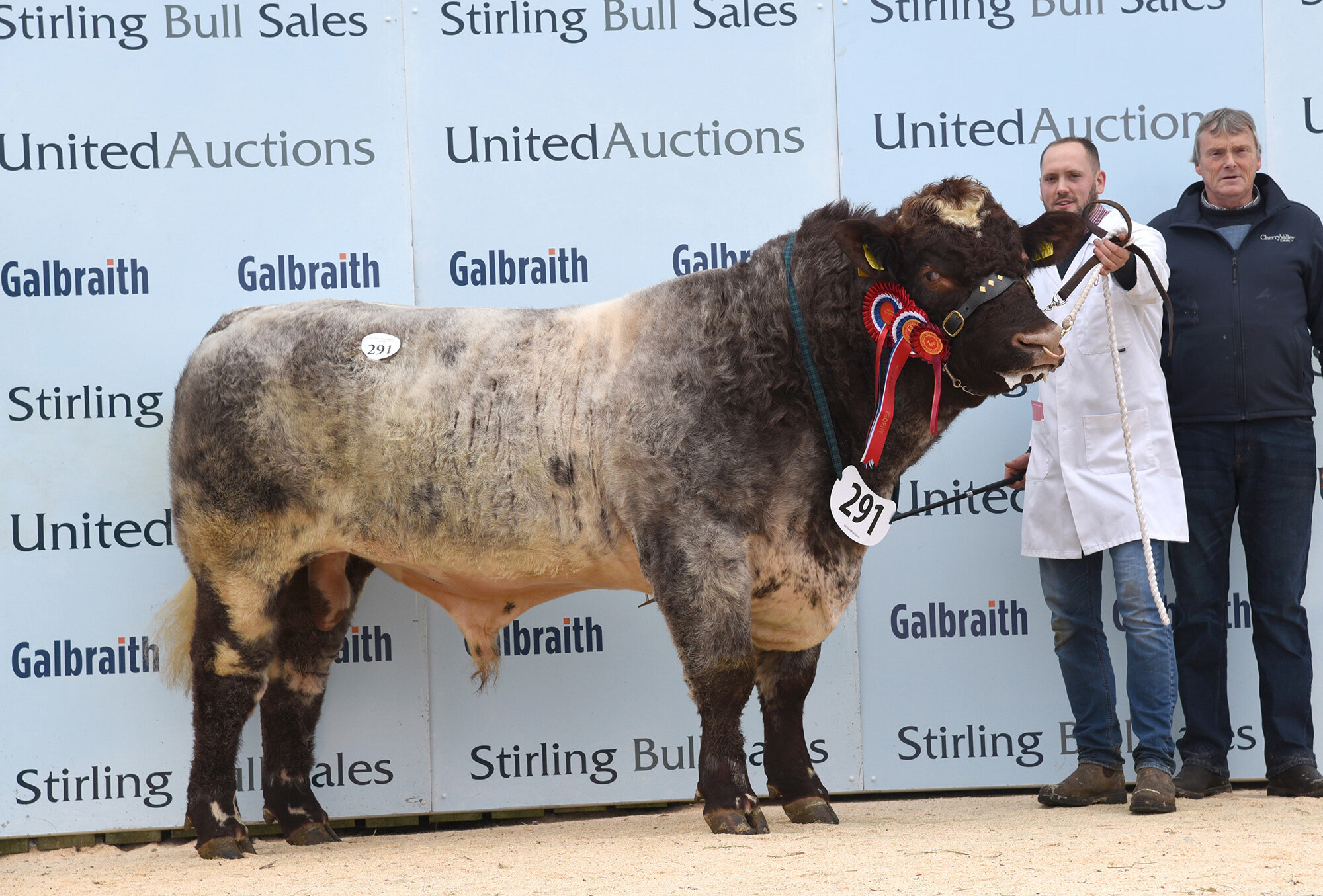 Stirling Bull Sales - October