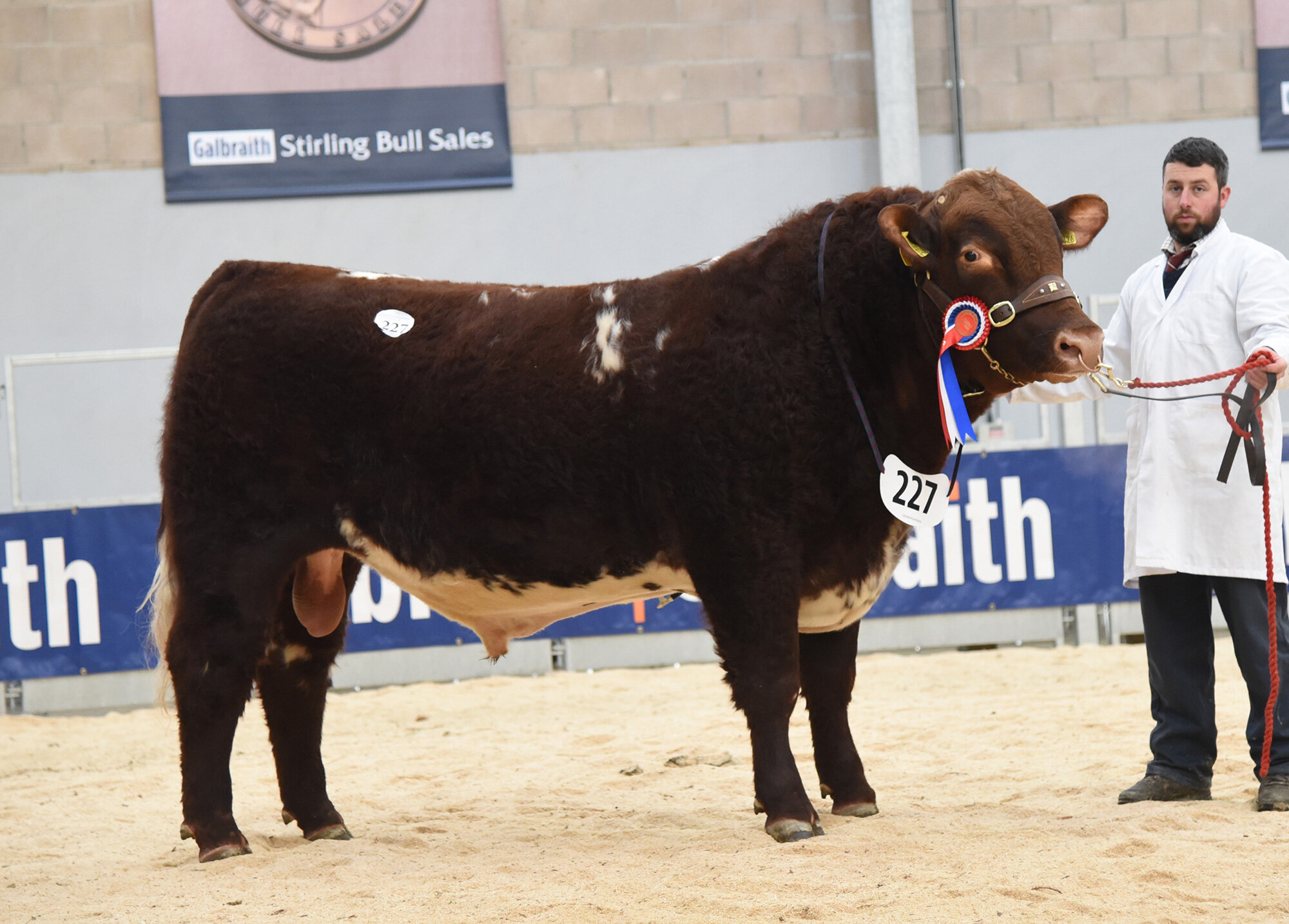 Stirling Bull Sales - February