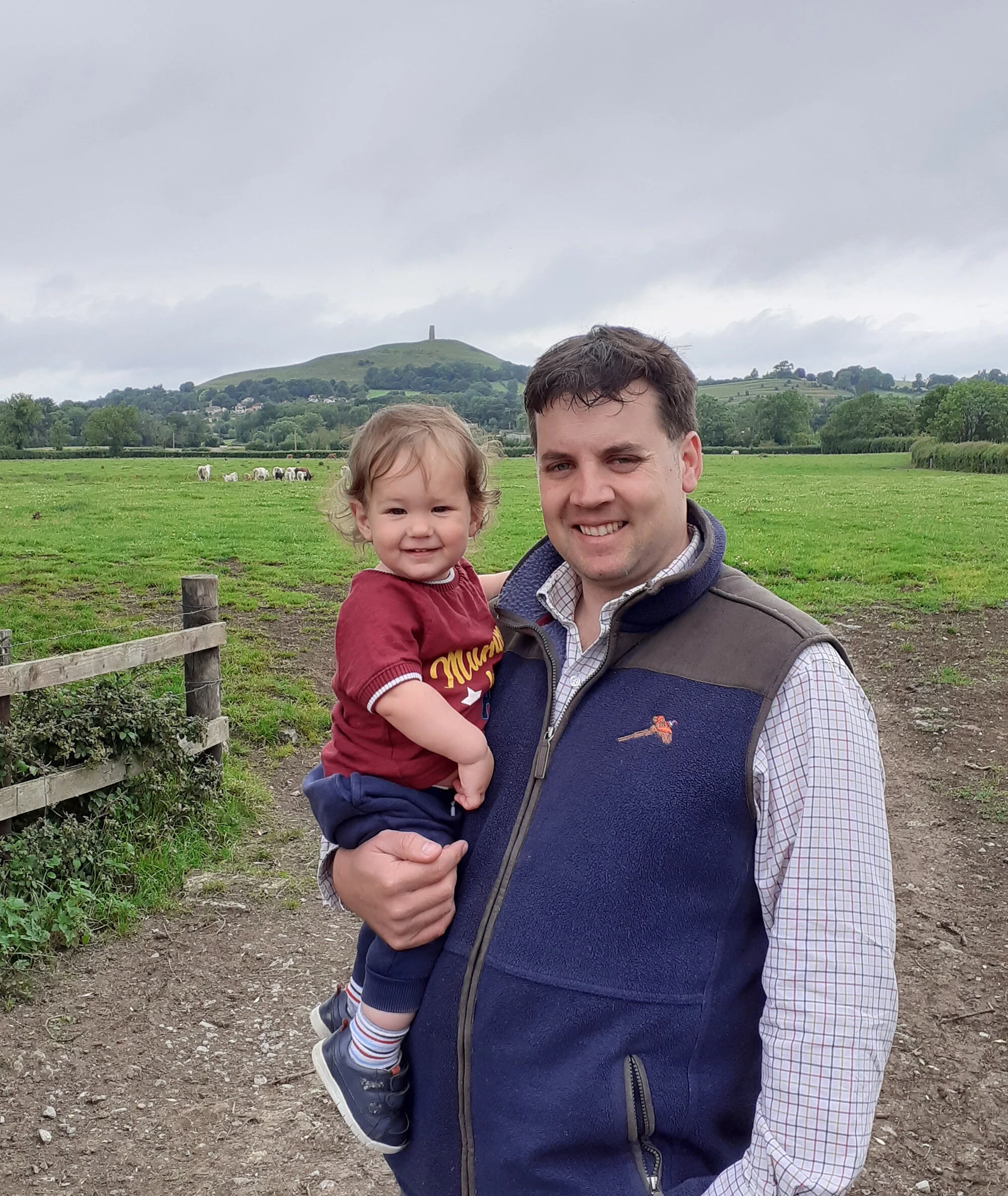Grazing the Somerset Levels