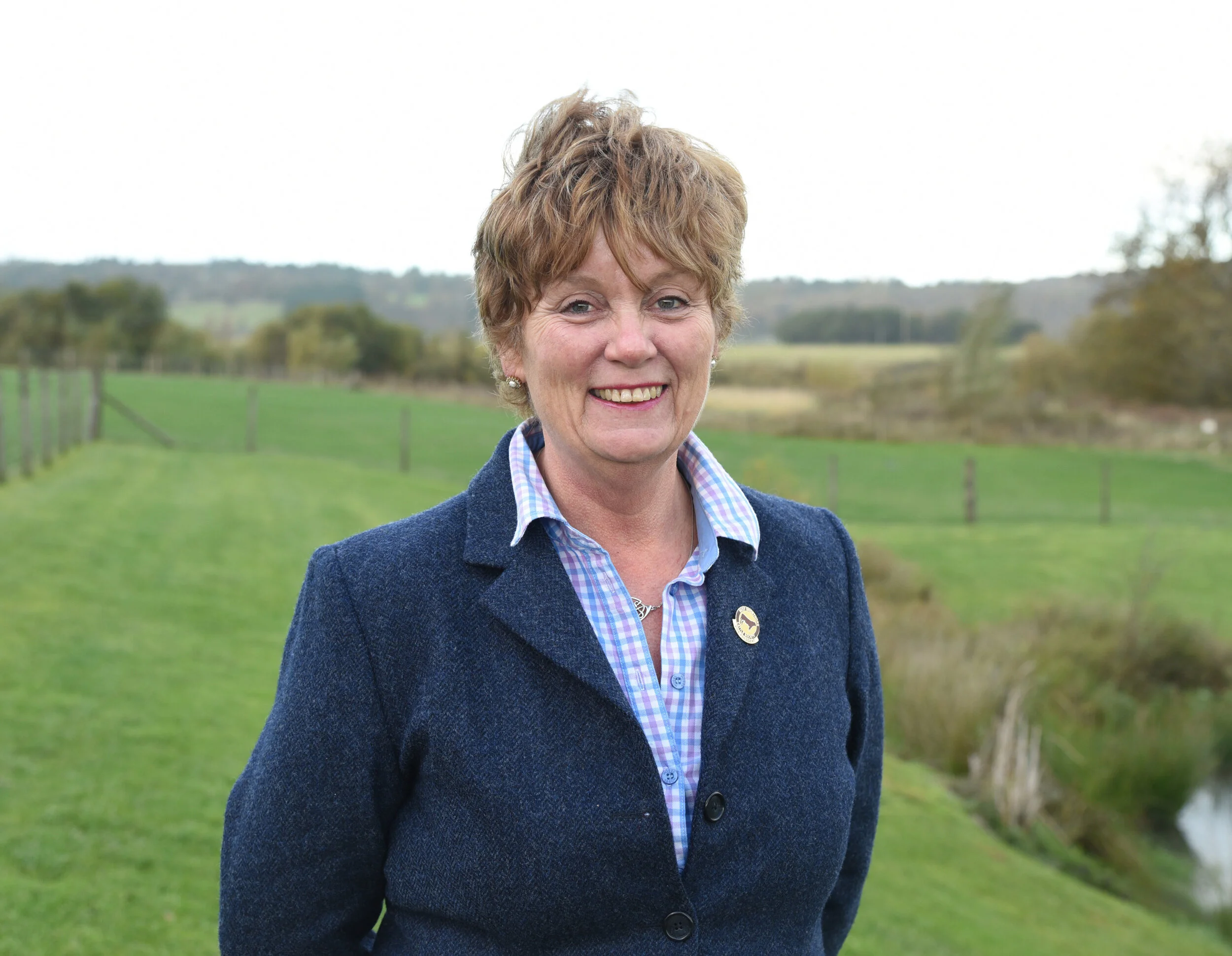 Beef Shorthorn continues on a roll