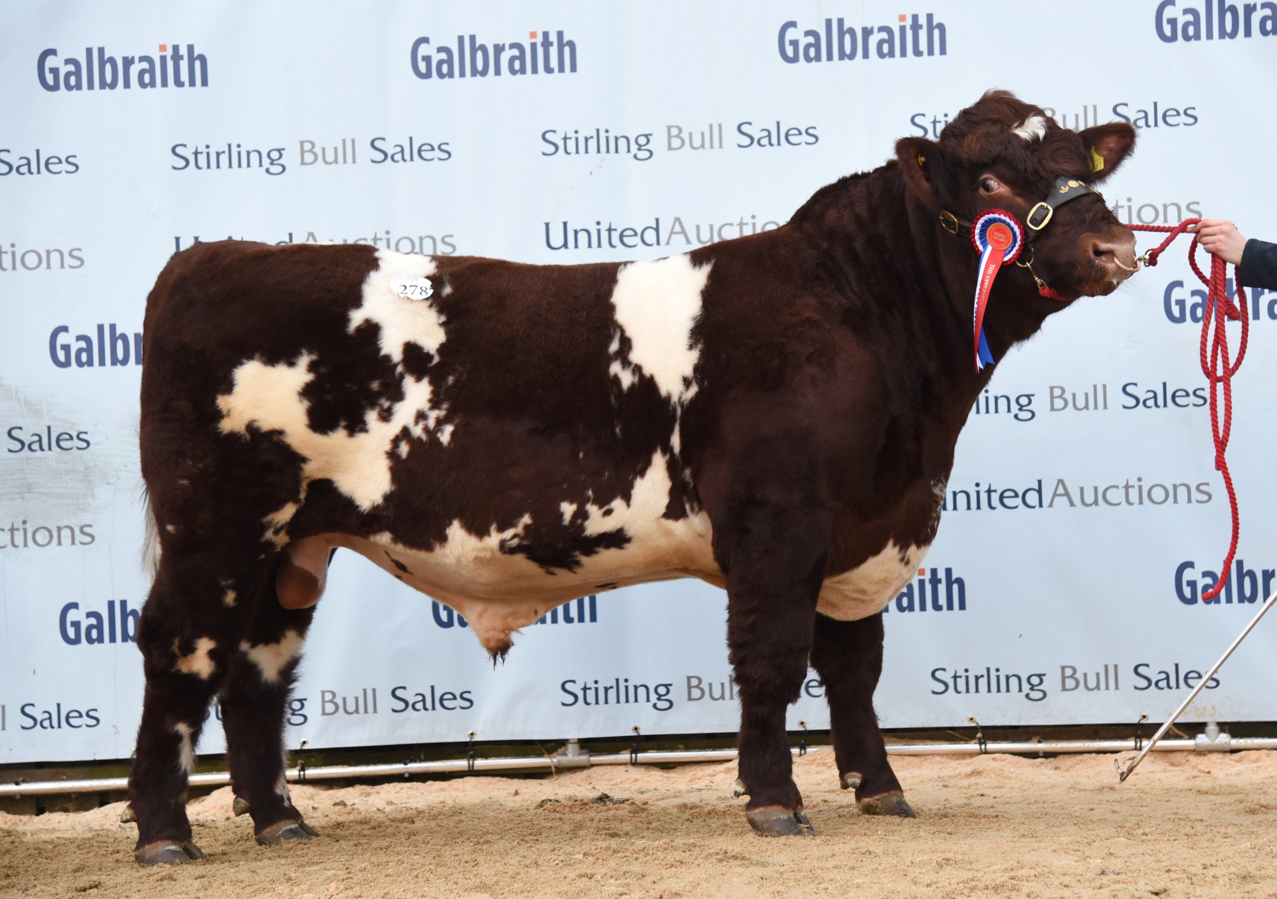 Willingham Pallas 6,000gns