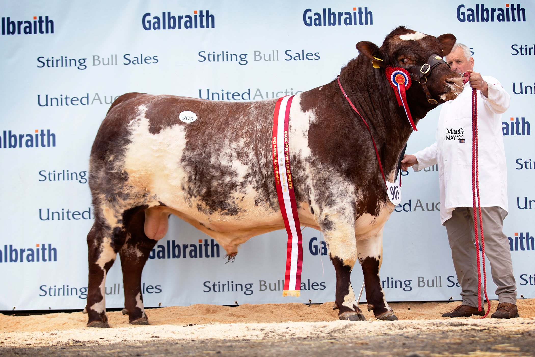 Strathendrick Powerhouse sold for 5,500 gns