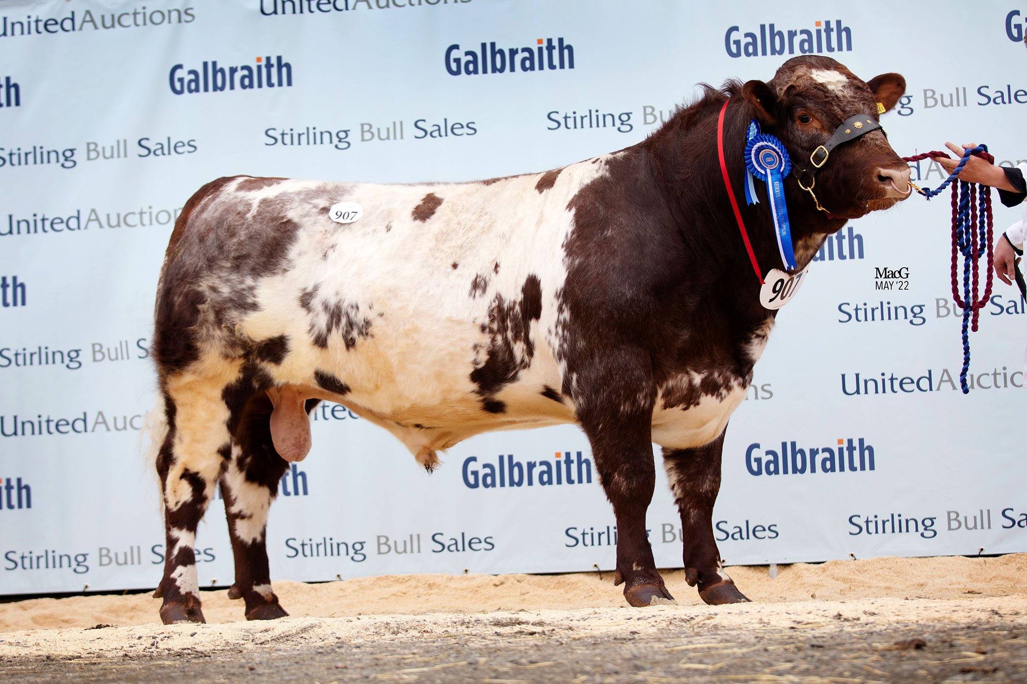 Cairnsmore Phoenix sold for 5,200 gns