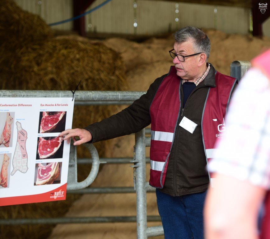 Glenarm Beef Shorthorn Scheme