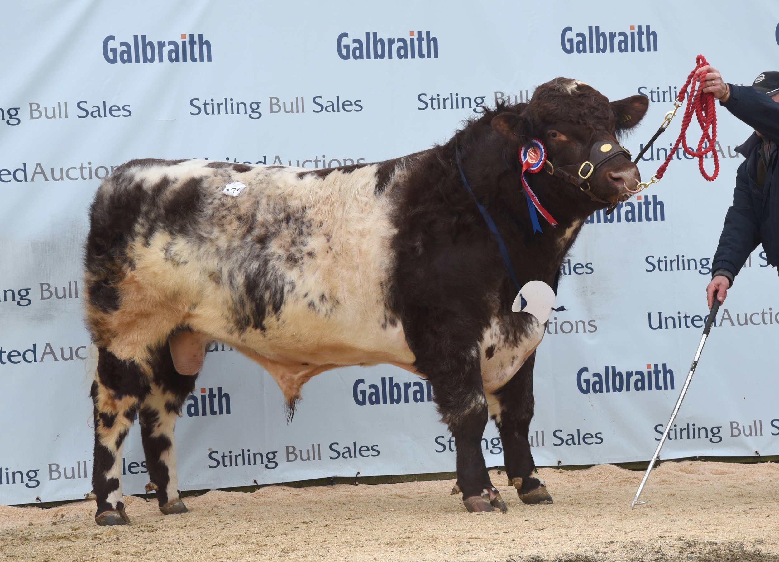 Lot 176 Headlind Rokaku 5,500gns.jpg