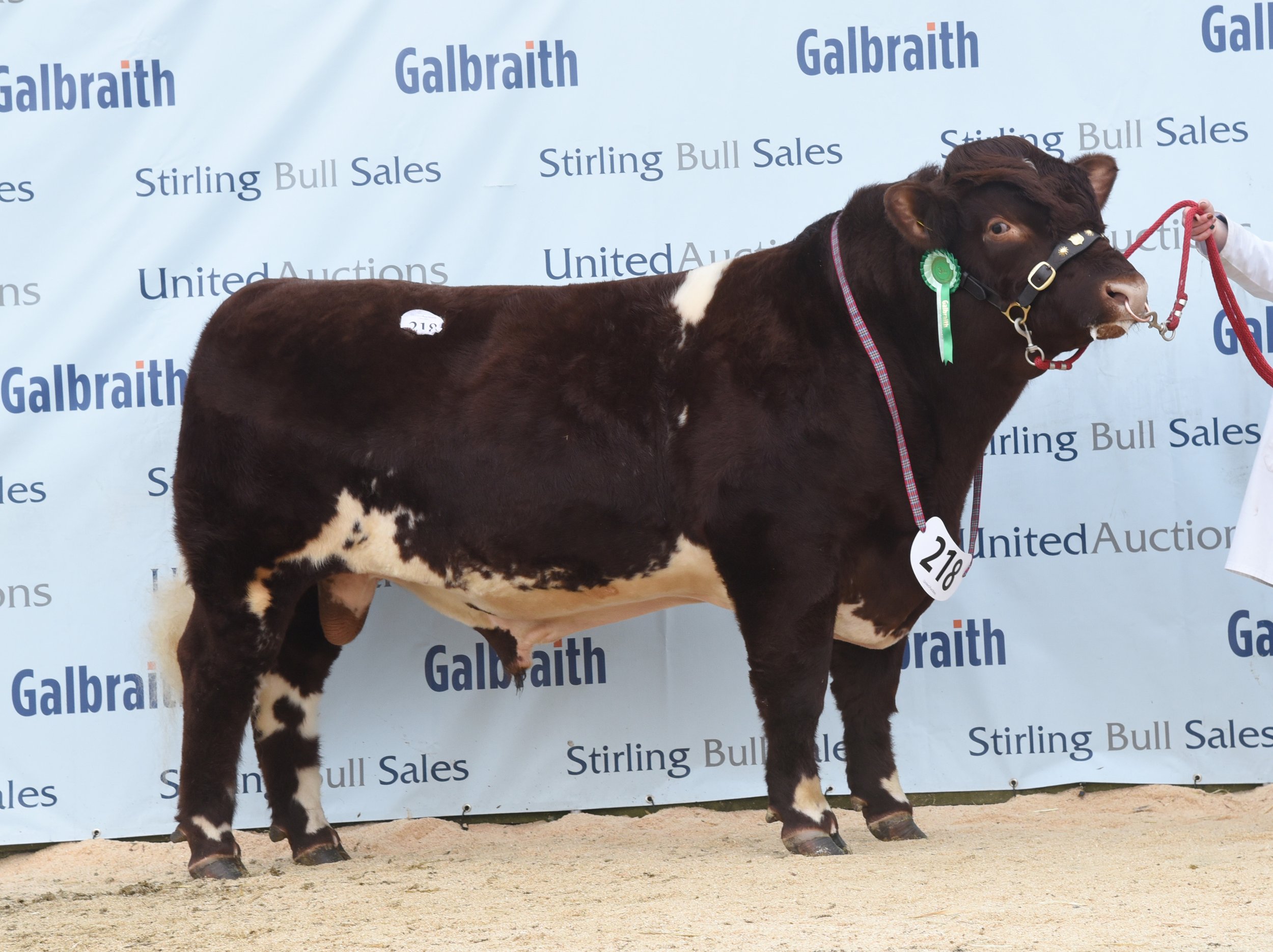 Lot 218 Runleymill Reggie 7,000 gns.jpg