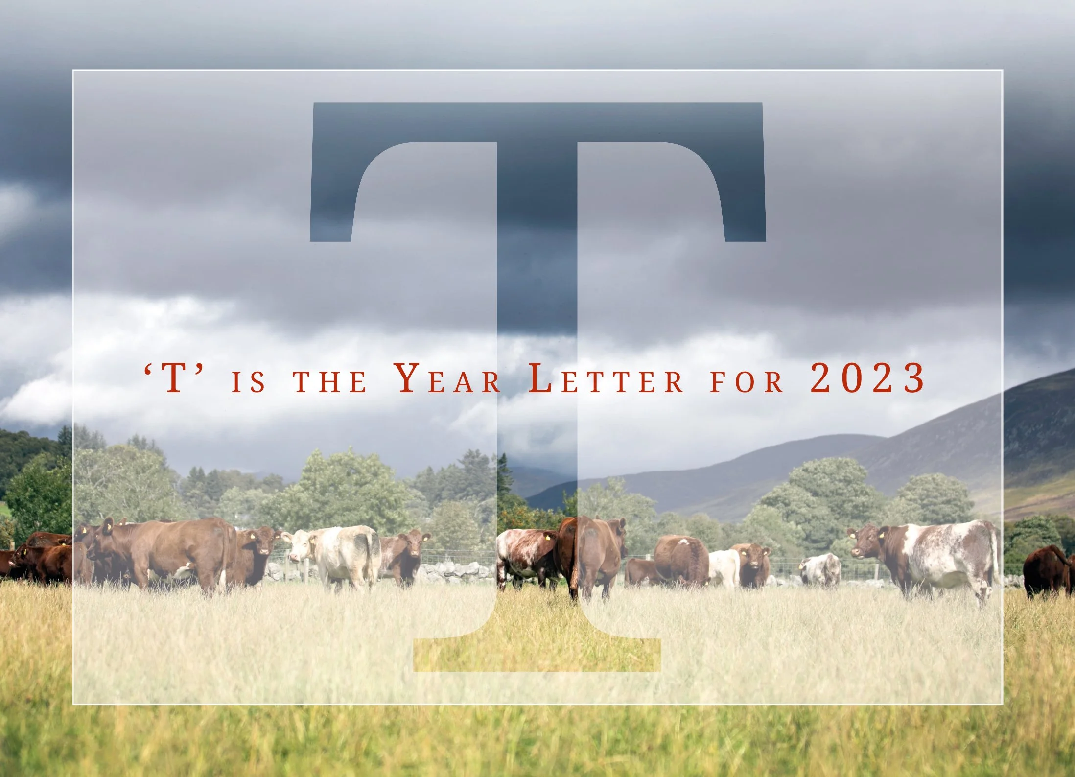 The Beef Shorthorn Cattle Society