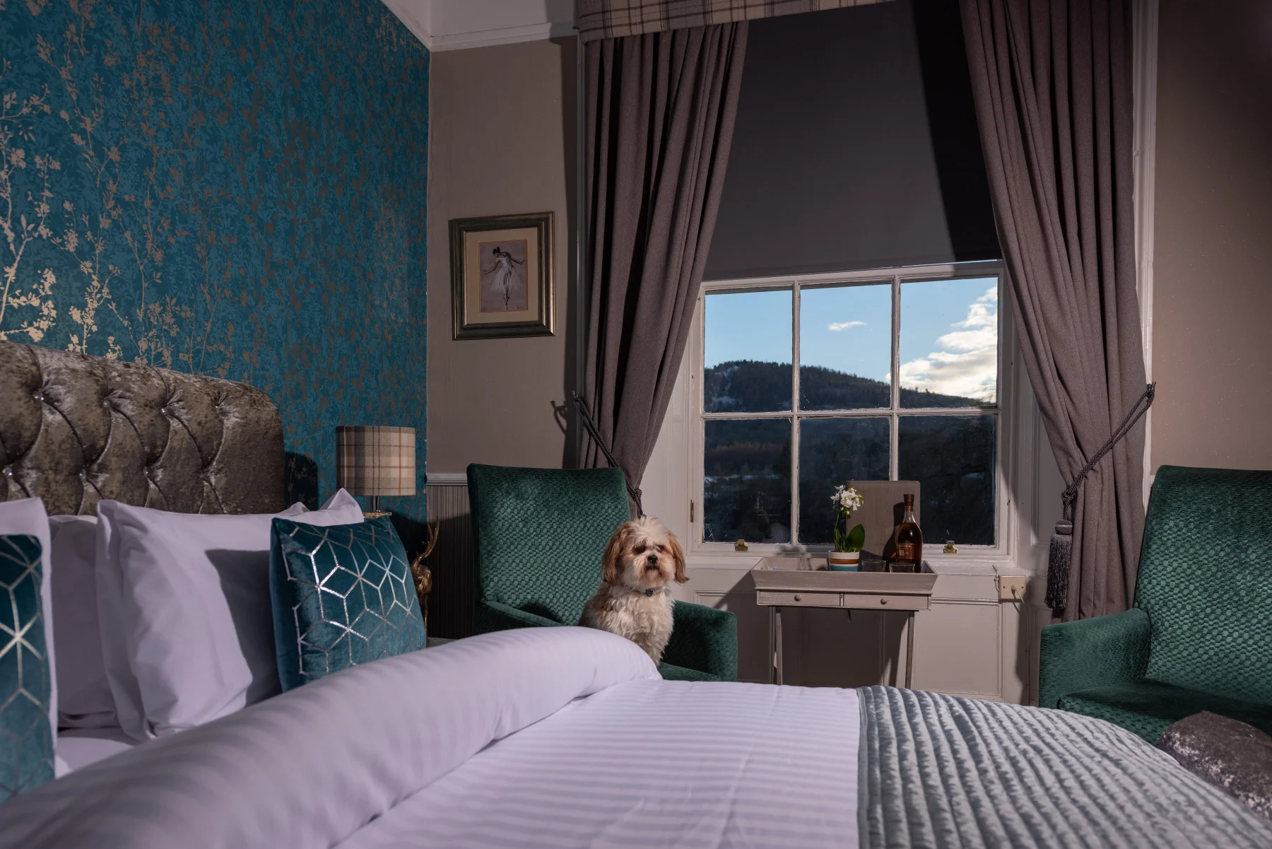 _DOG9994-atholl-arms-dunkeld.jpg