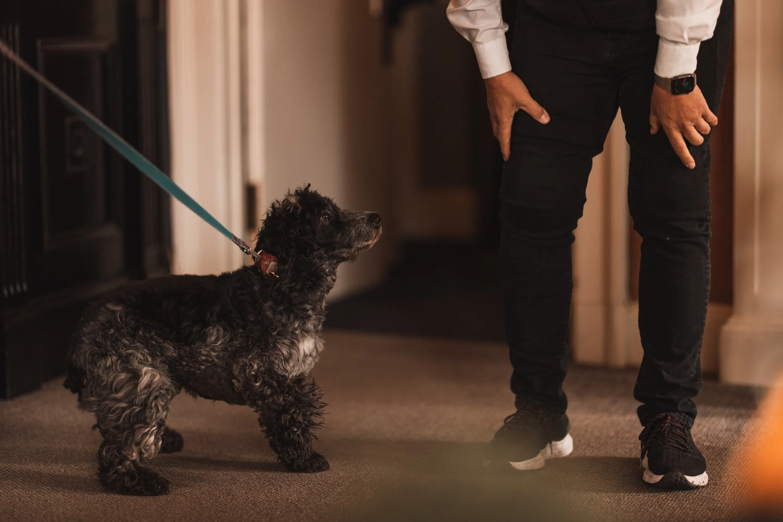   We are pet friendly   Treat your pawl to a stay with us   Notes for pawdyguards here  