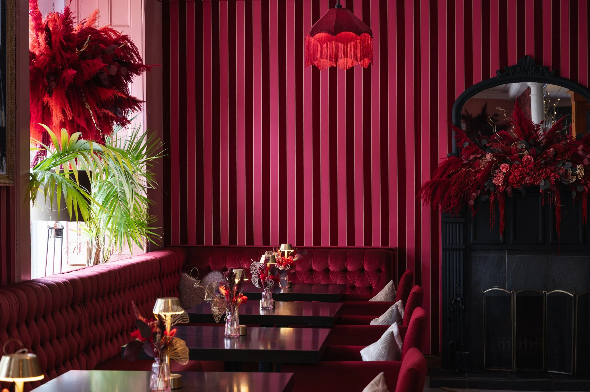 Solasta Creative X DeanZs-2.jpg