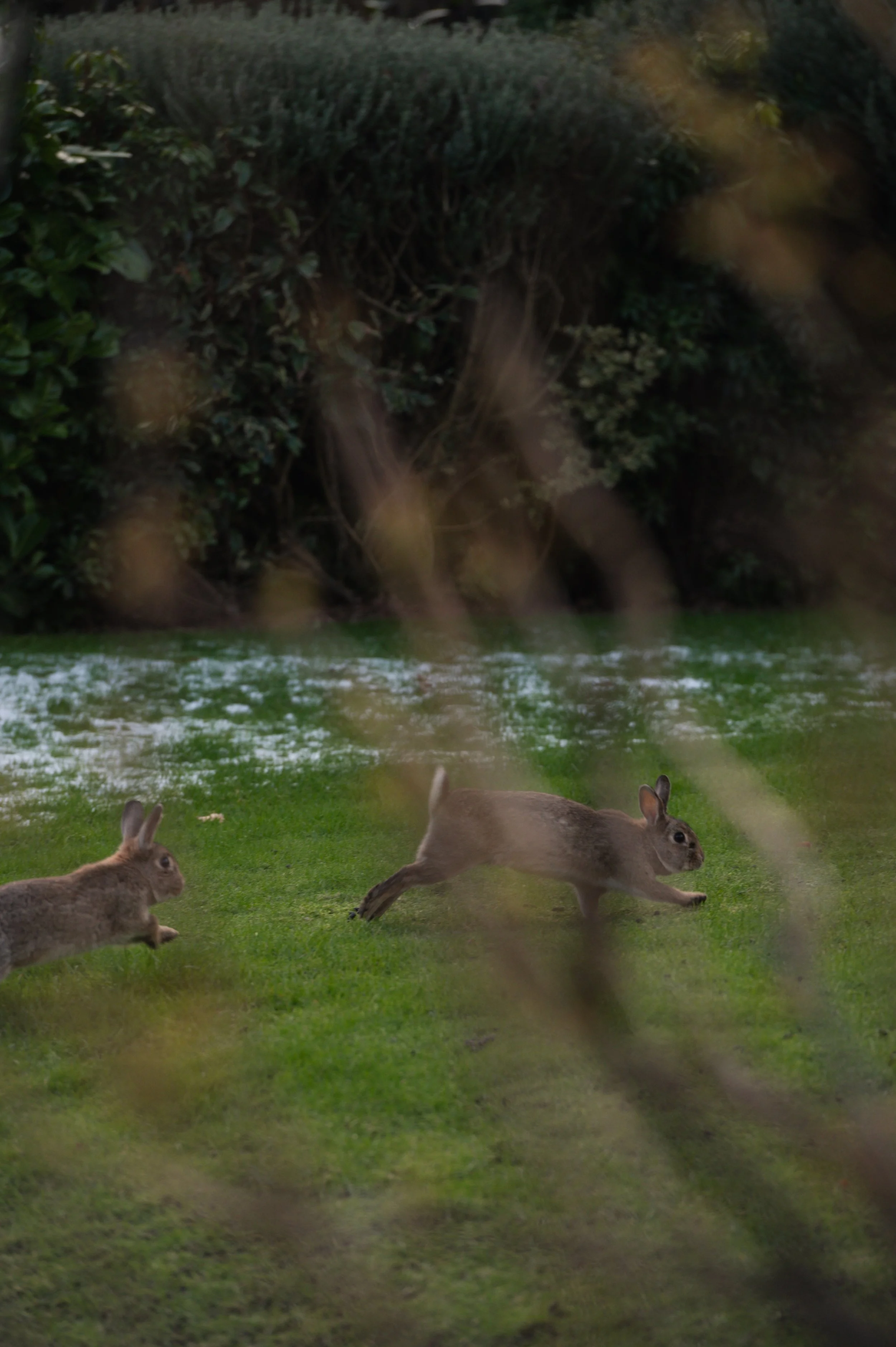 Solasta Creative X Atholl Arms The Residence  Exterior-10.jpg