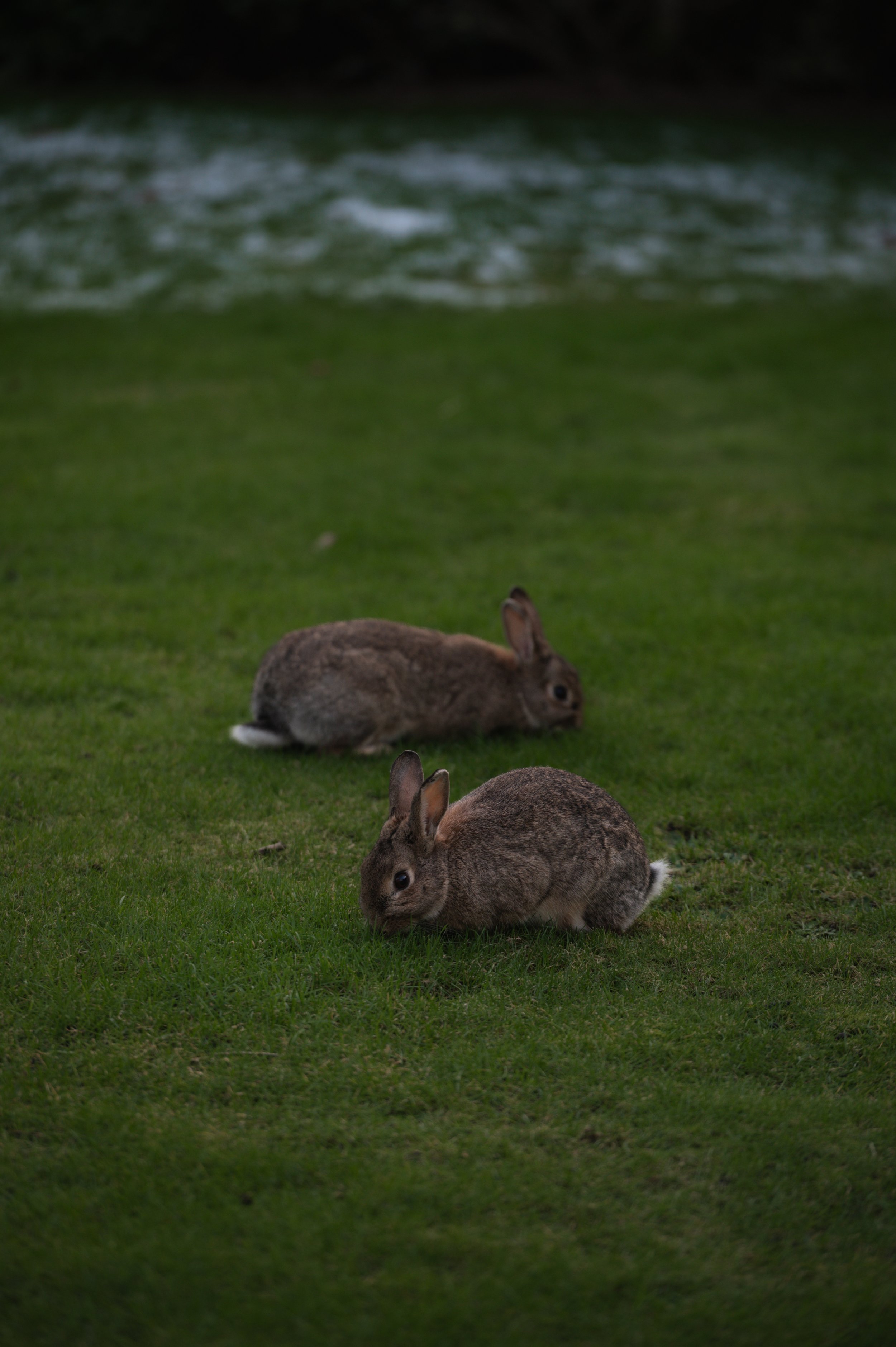 Solasta Creative X Atholl Arms The Residence  Exterior-11.jpg