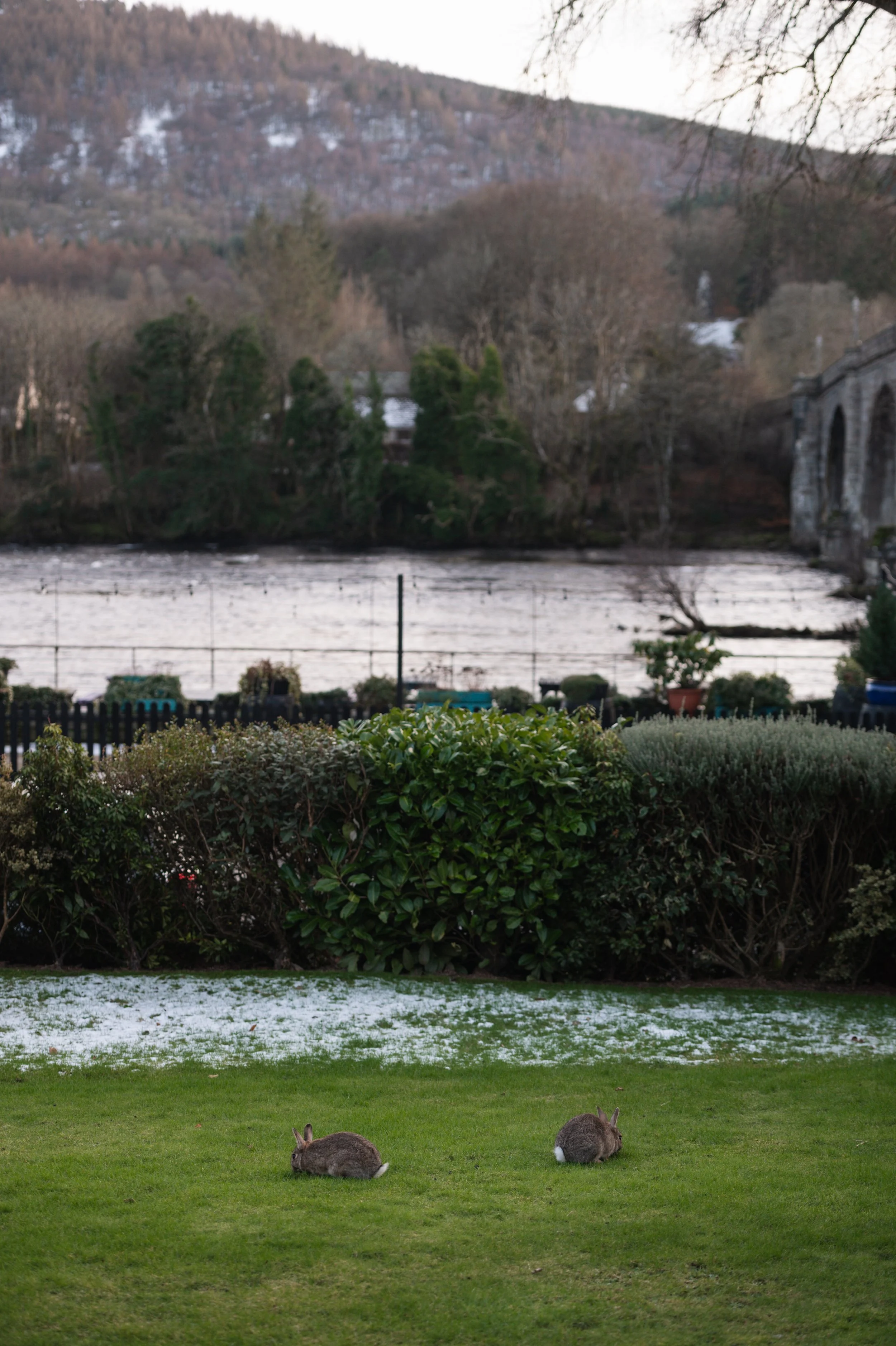 Solasta Creative X Atholl Arms The Residence  Exterior-12.jpg