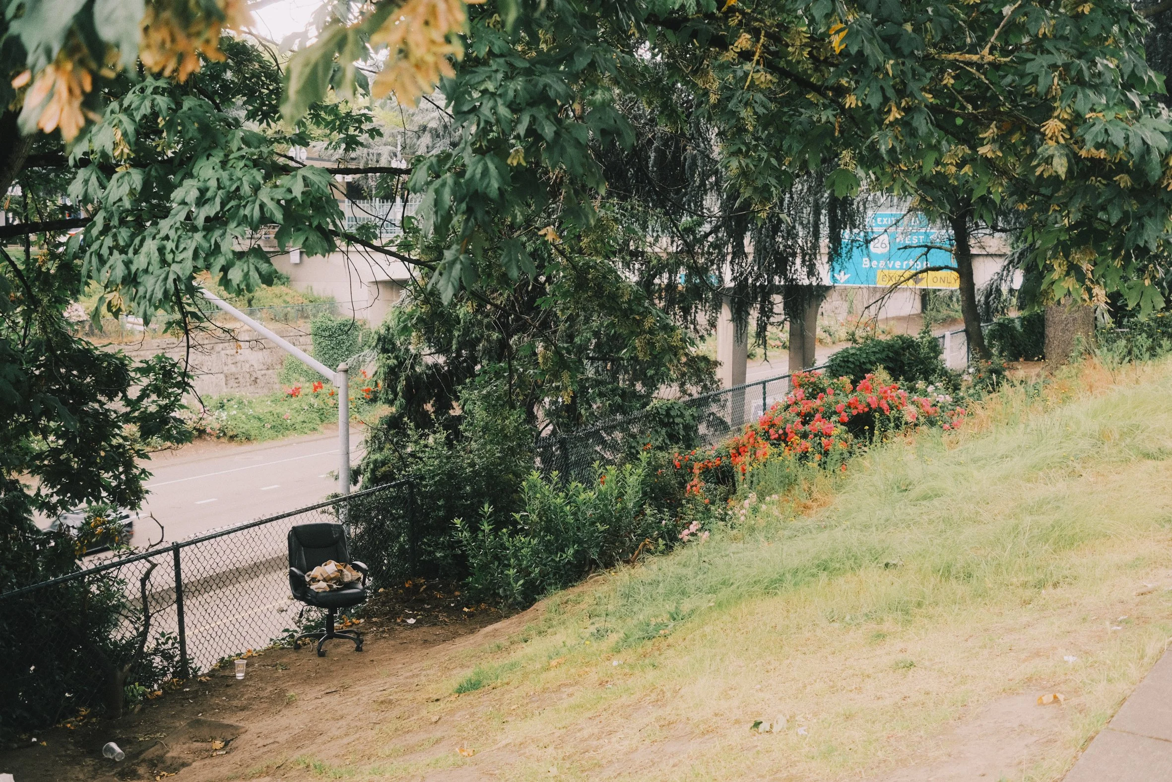 P 023 Document Name.JPG