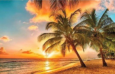 Beach Sunset.jpg