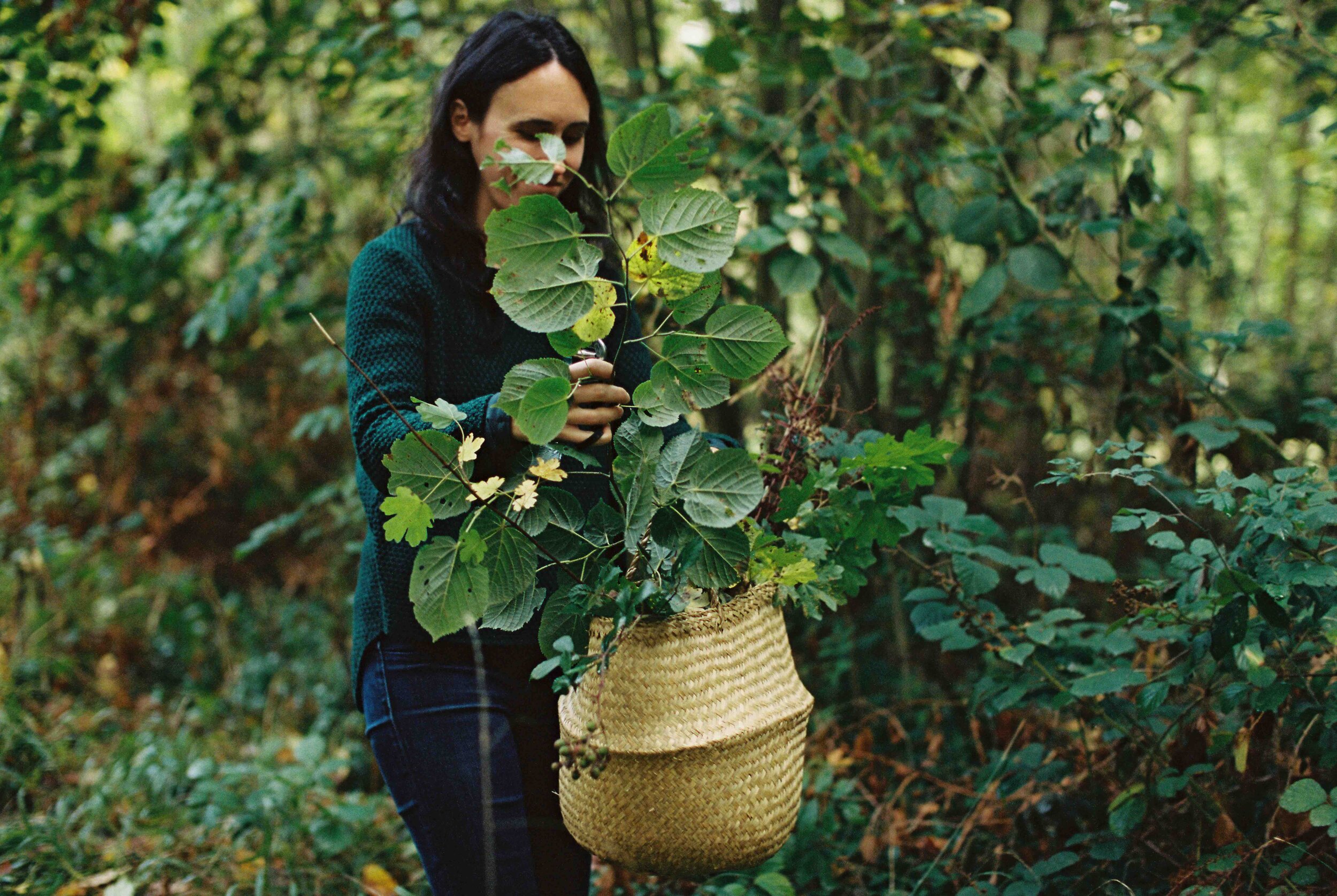 A woman foraging with a basket of plants in the woods during a workshop, a great activity for a retreat at the chateau.