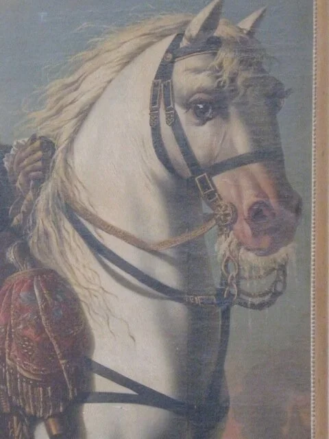 Precious legs…Katia comes on the scene…a life with horses…