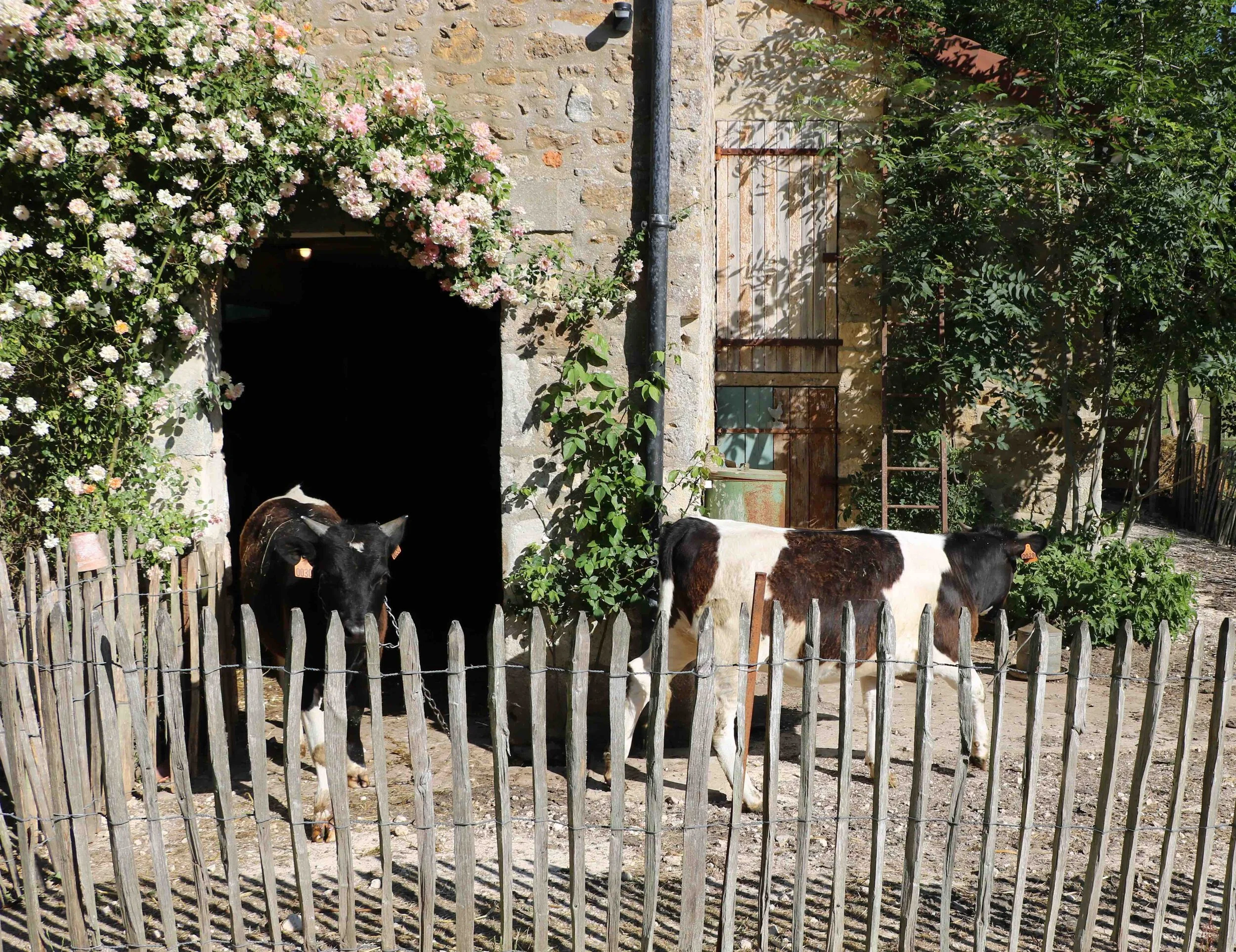From the milking parlor to the Chateau…an old-fashioned dairy farm…and our Temple…