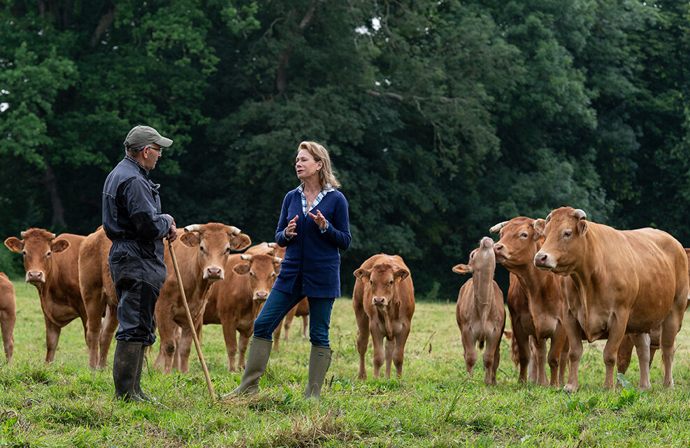 Elizabeth has a discussion with a farmer in front of a herd of Limousine cows on the ground of Chateau de Courtomer in France.