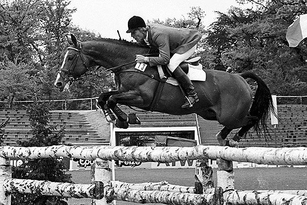 I buy a horse...putting the "cheval" in "chevalier"...Normandy's noble blood lines... 