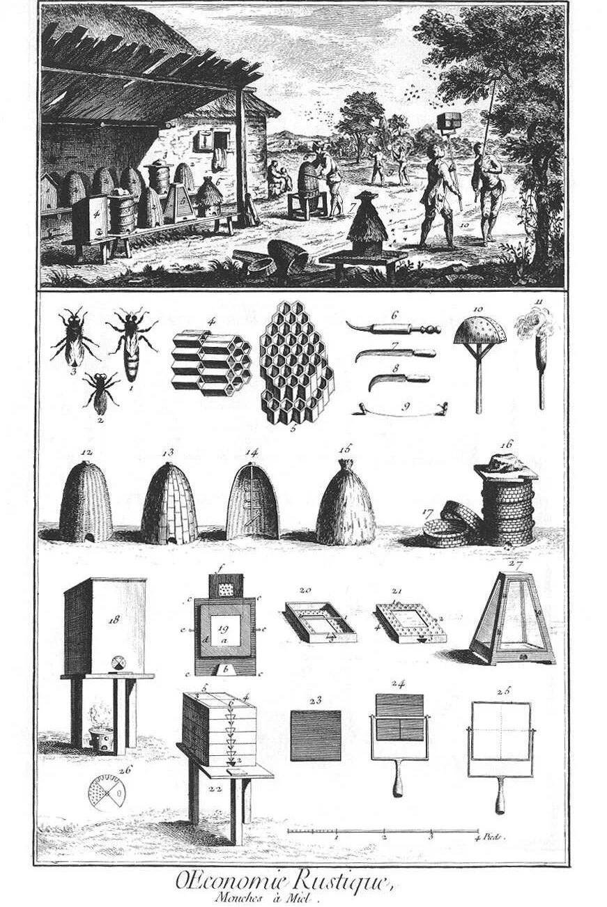 The children discover bees...and feast on the Chateau's honey...