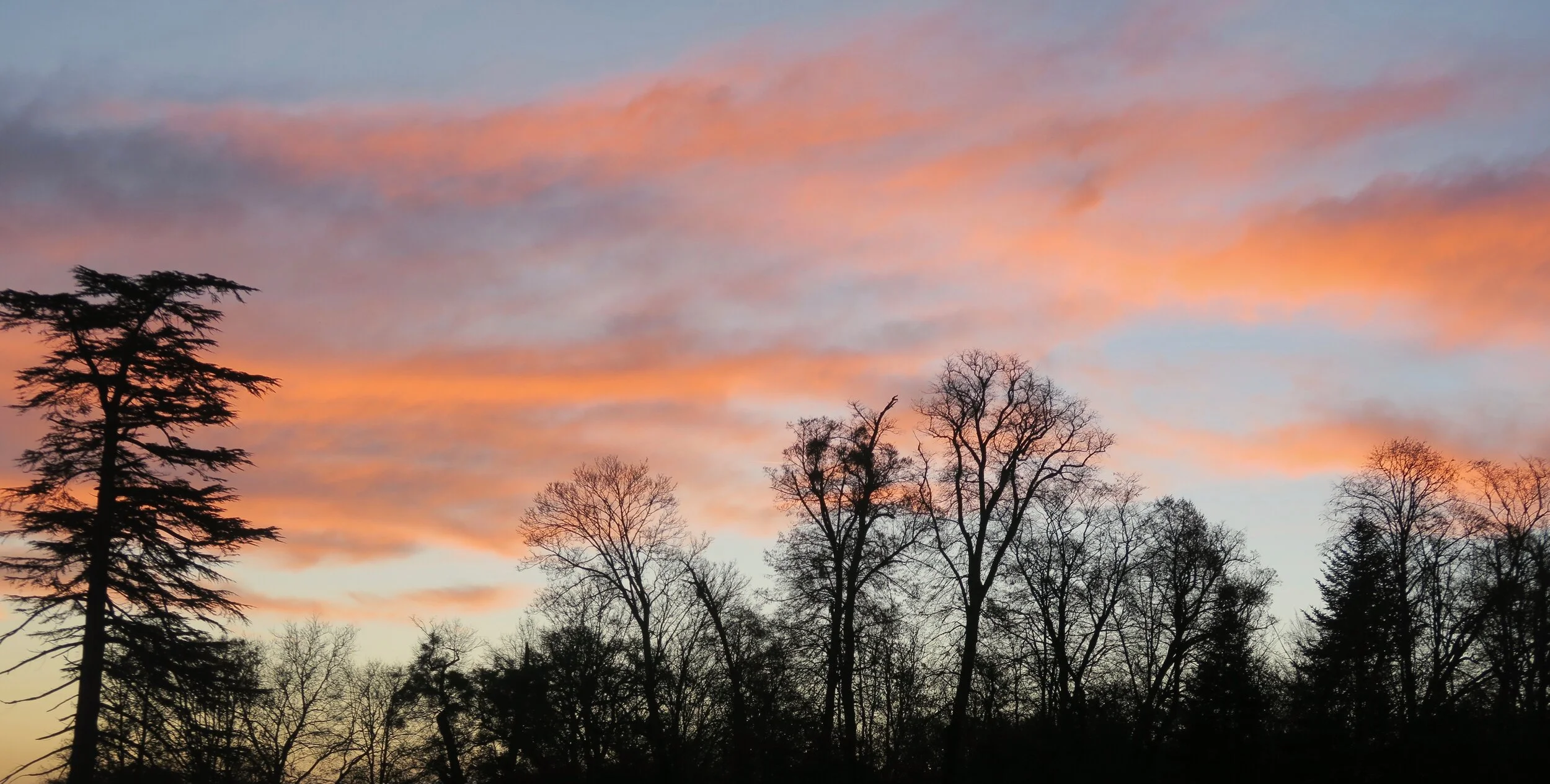 Stalking the French turkey...Thanksgiving in the Normandy countryside...