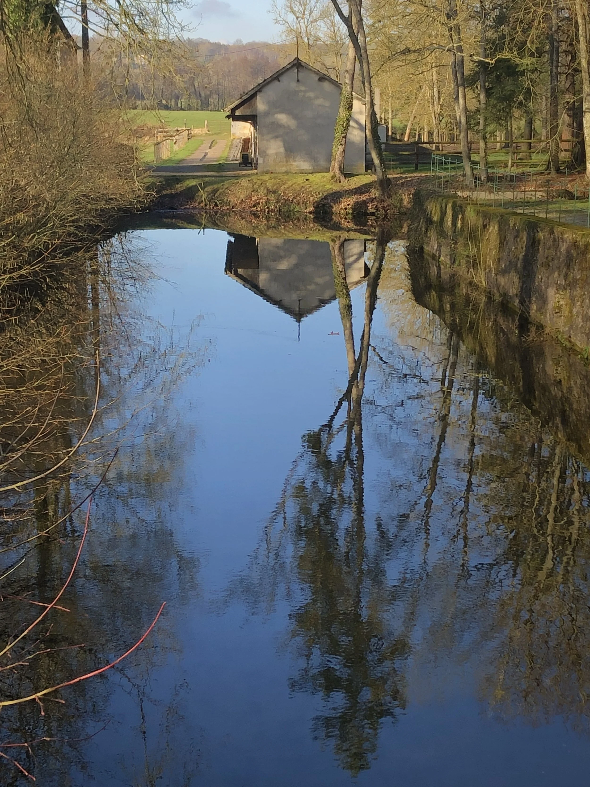 A box of waffles from Madame Francine
