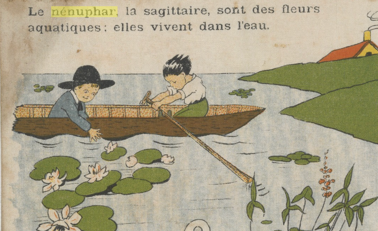 Waterlilies in the moat 