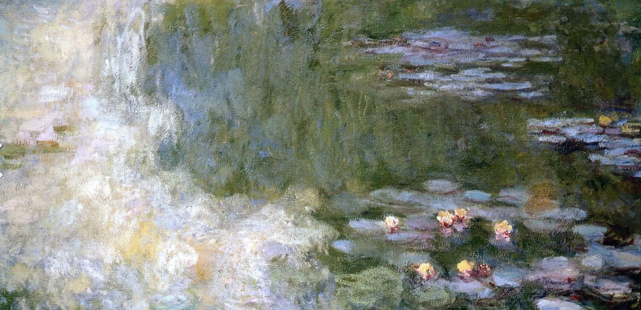 A refuge amid the waterlilies