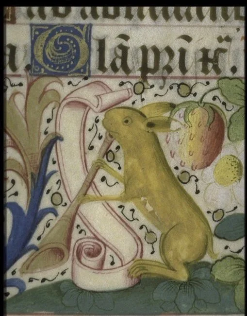 Rabbits in the Basse-cour