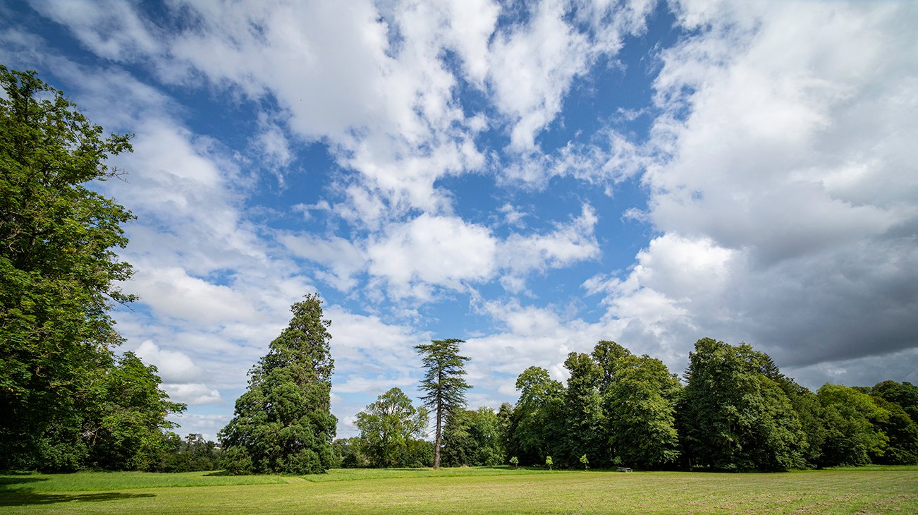 The Chateau park under an azure blue sky, perfect for a buccolic wedding near Paris.
