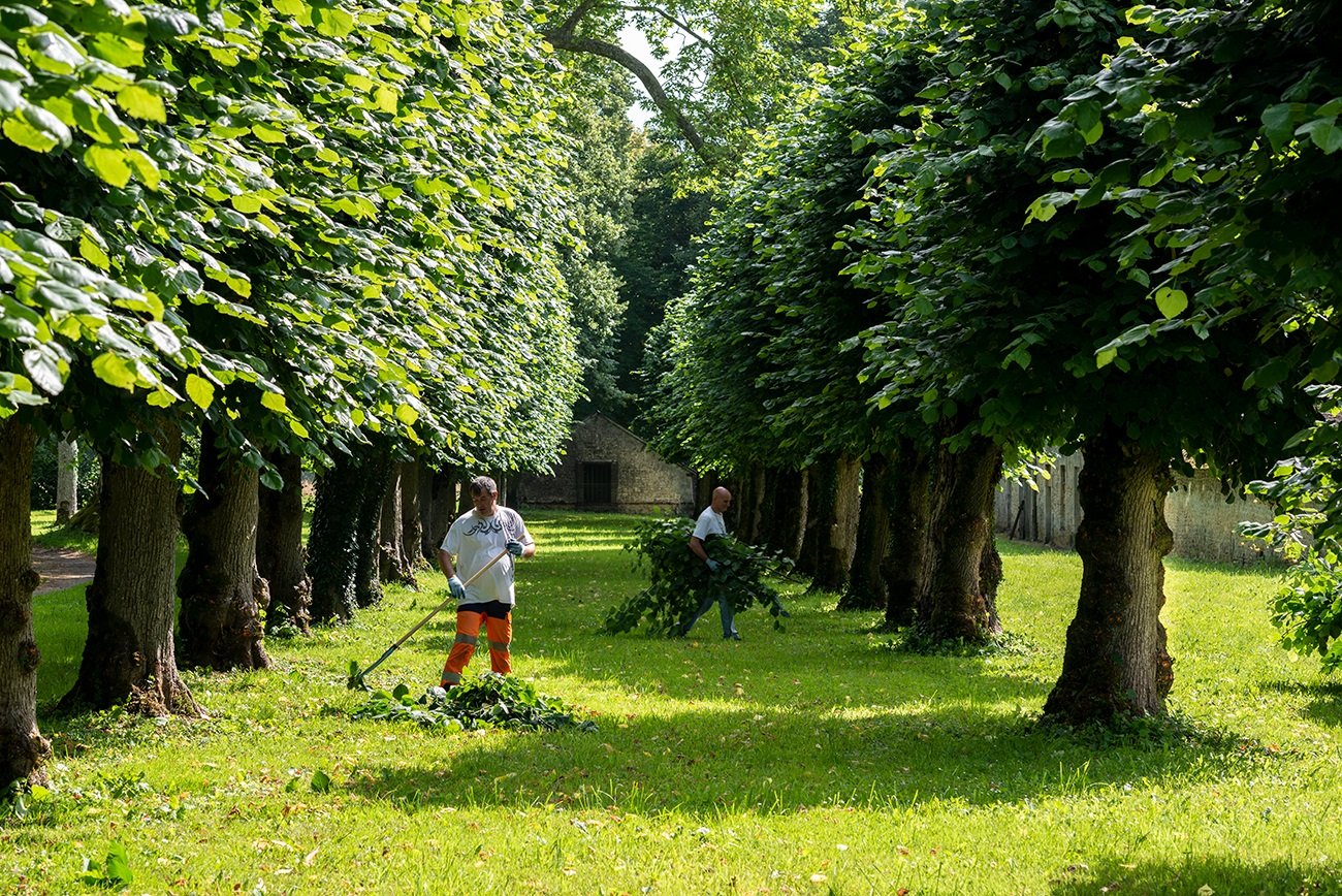 Gardeners clear the pathway under the Linden Alley at Chateau de Courtomer.
