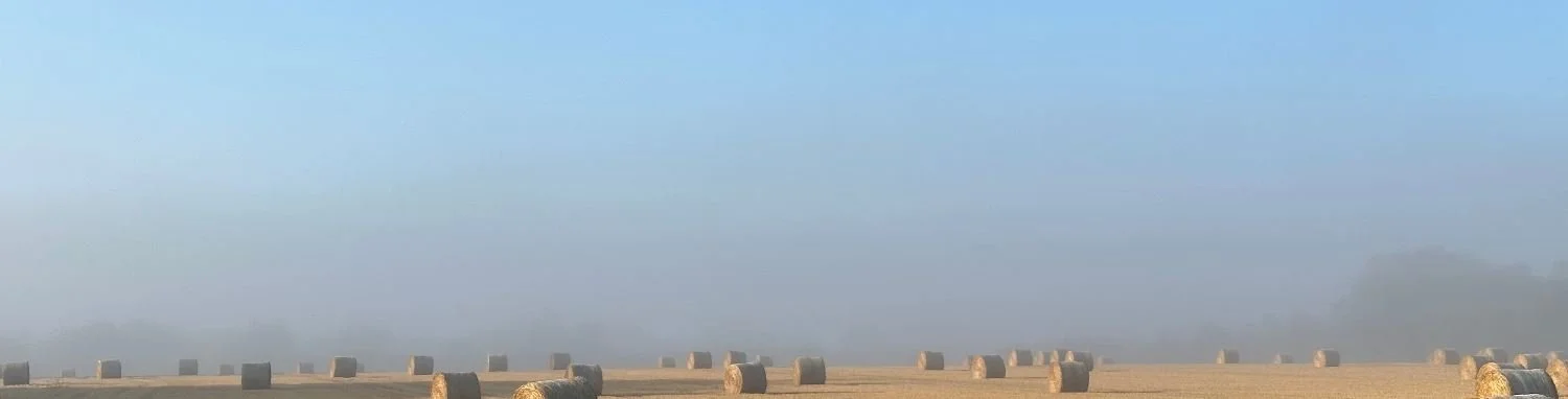 Heroes and villains in WW II