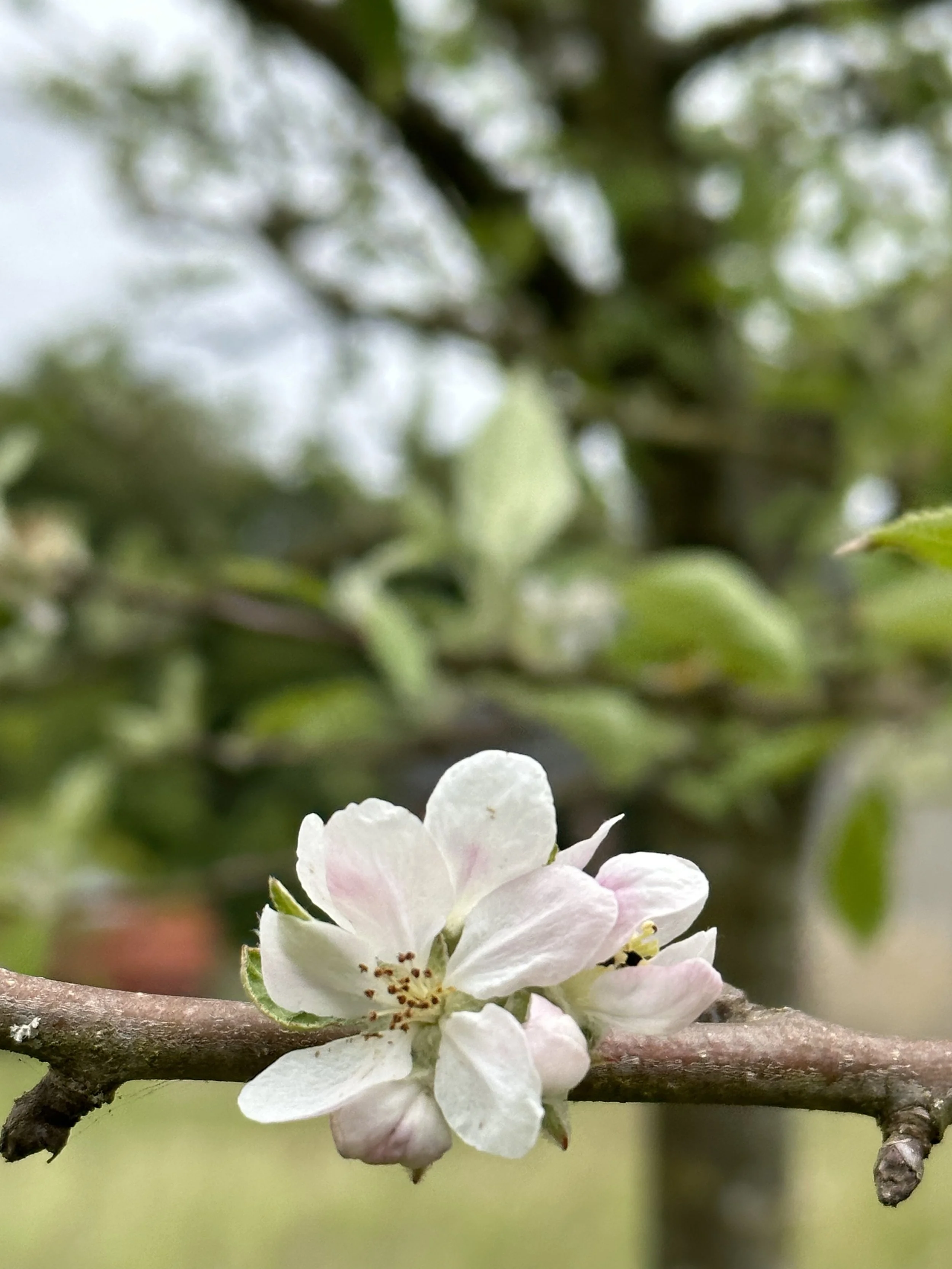 Après la pluie, le beau temps...