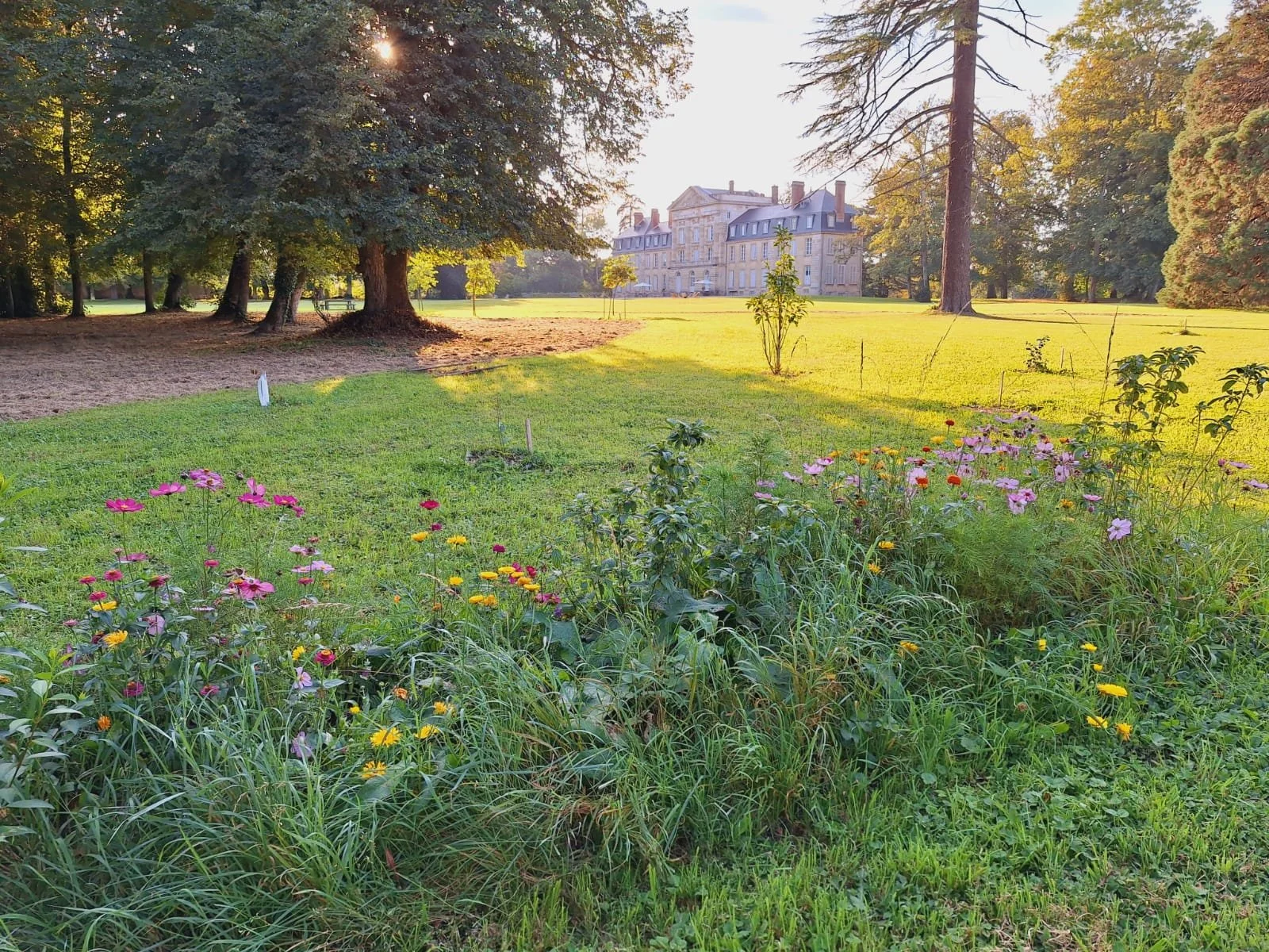 E IMG-20230910-WA0003.jpg