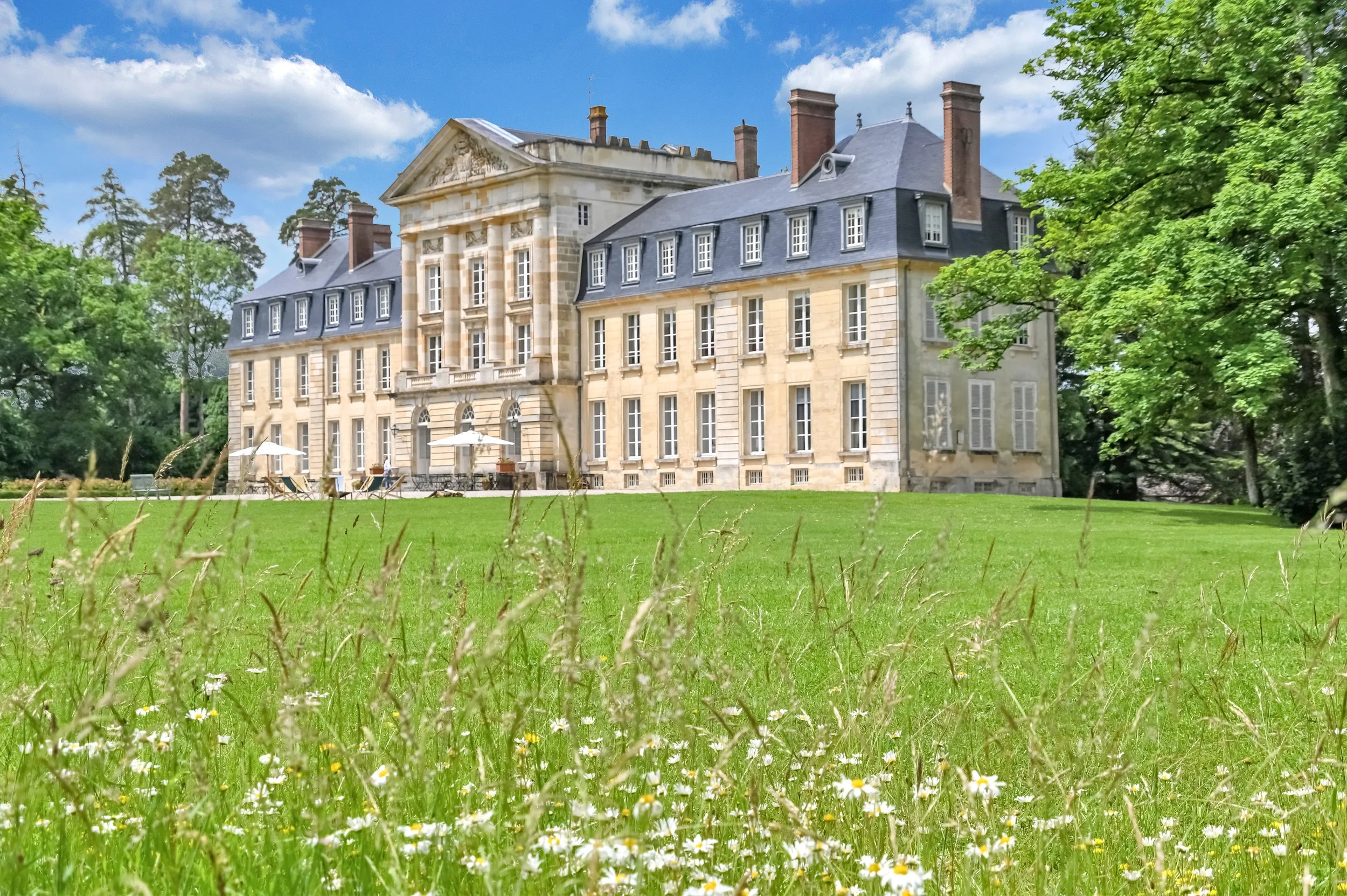 B Chateau facade with wild flowers BT.jpg