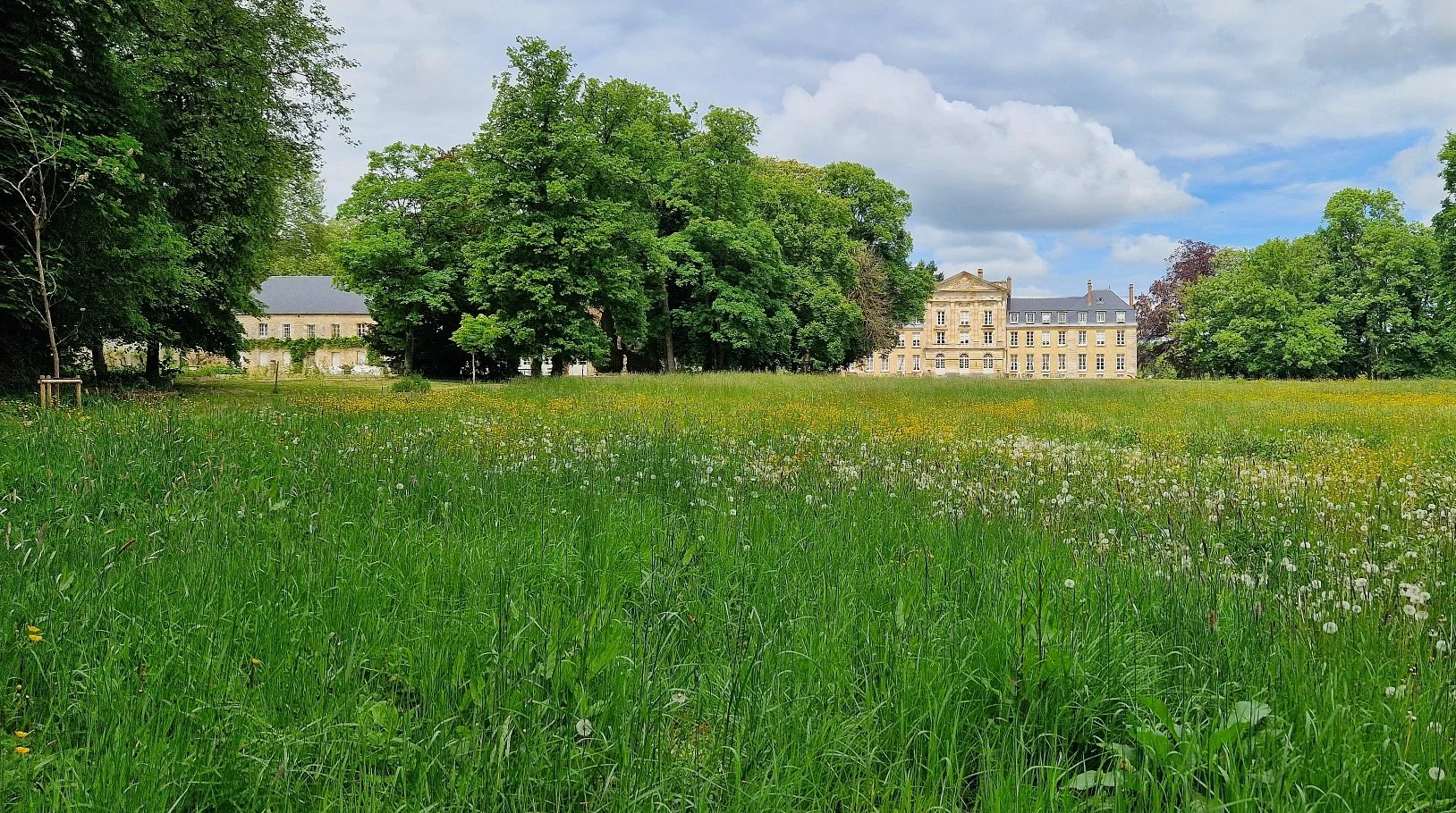 M View over the park from the woods.jpg