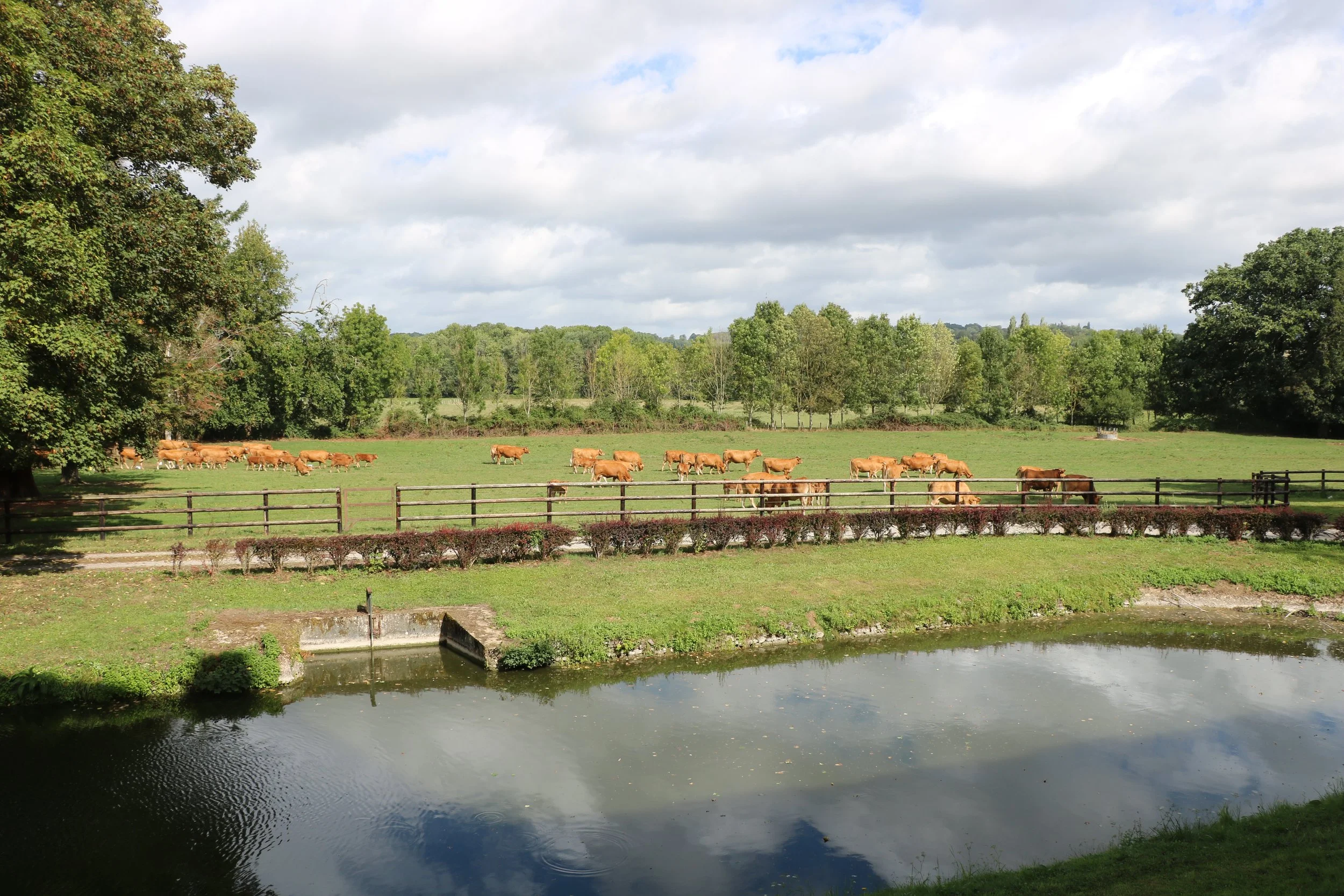 N Views over the moat.JPG