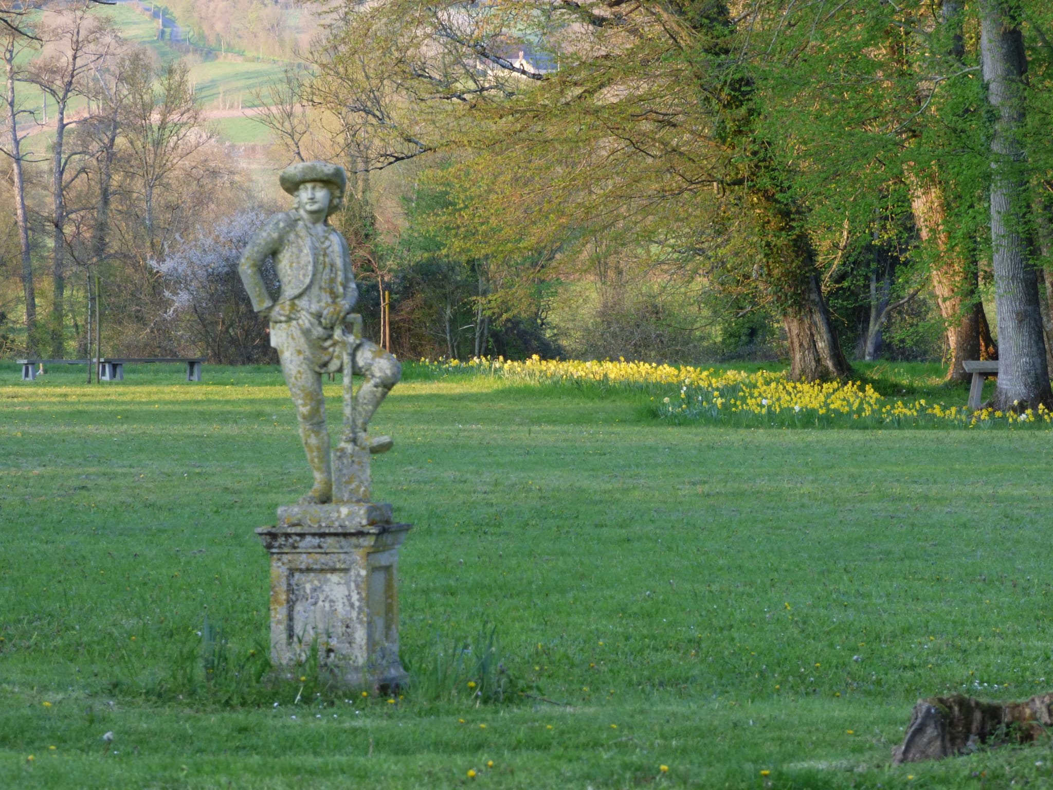L view over the woodland glade.jpg