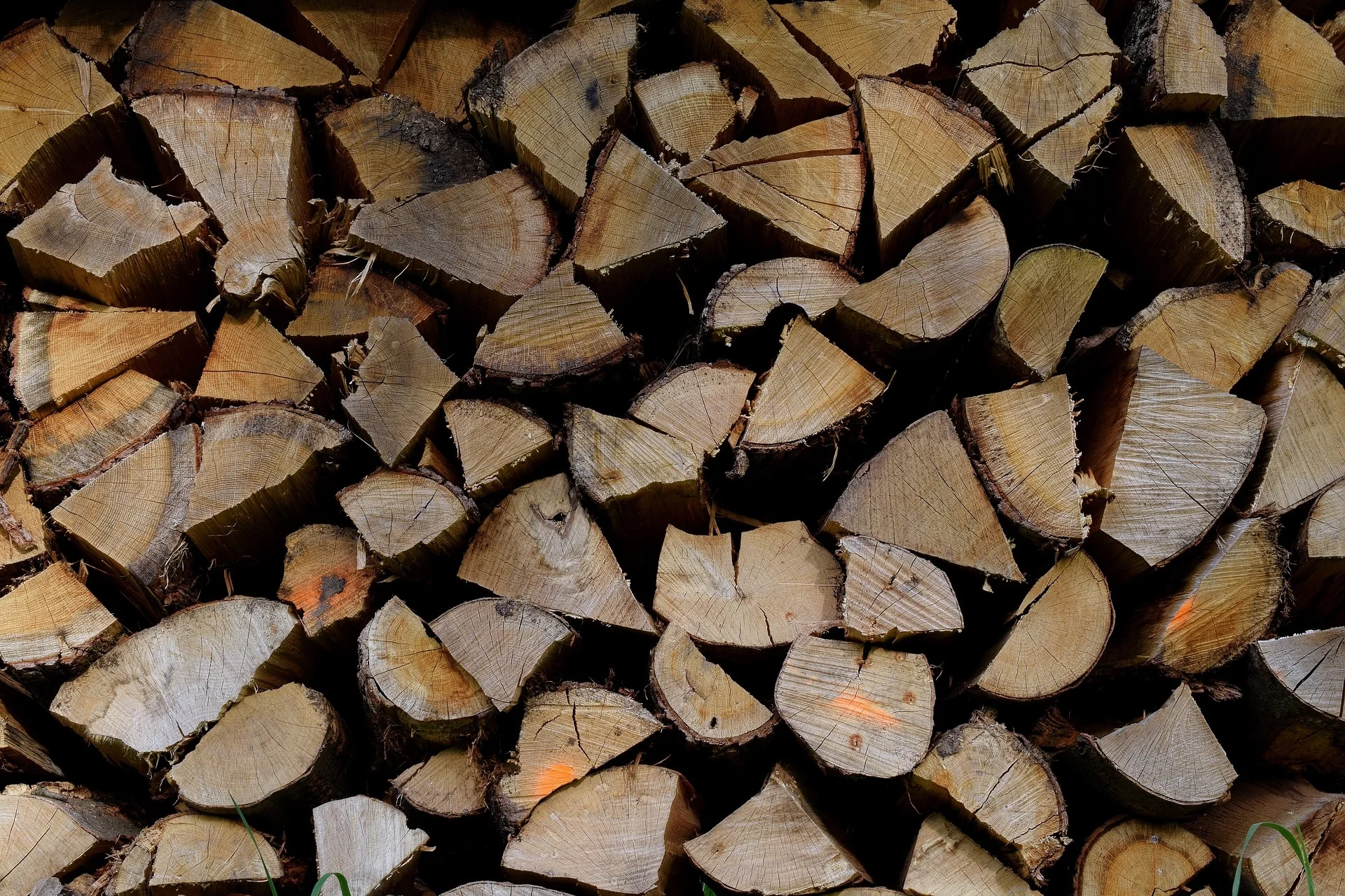seasoned wood.jpg