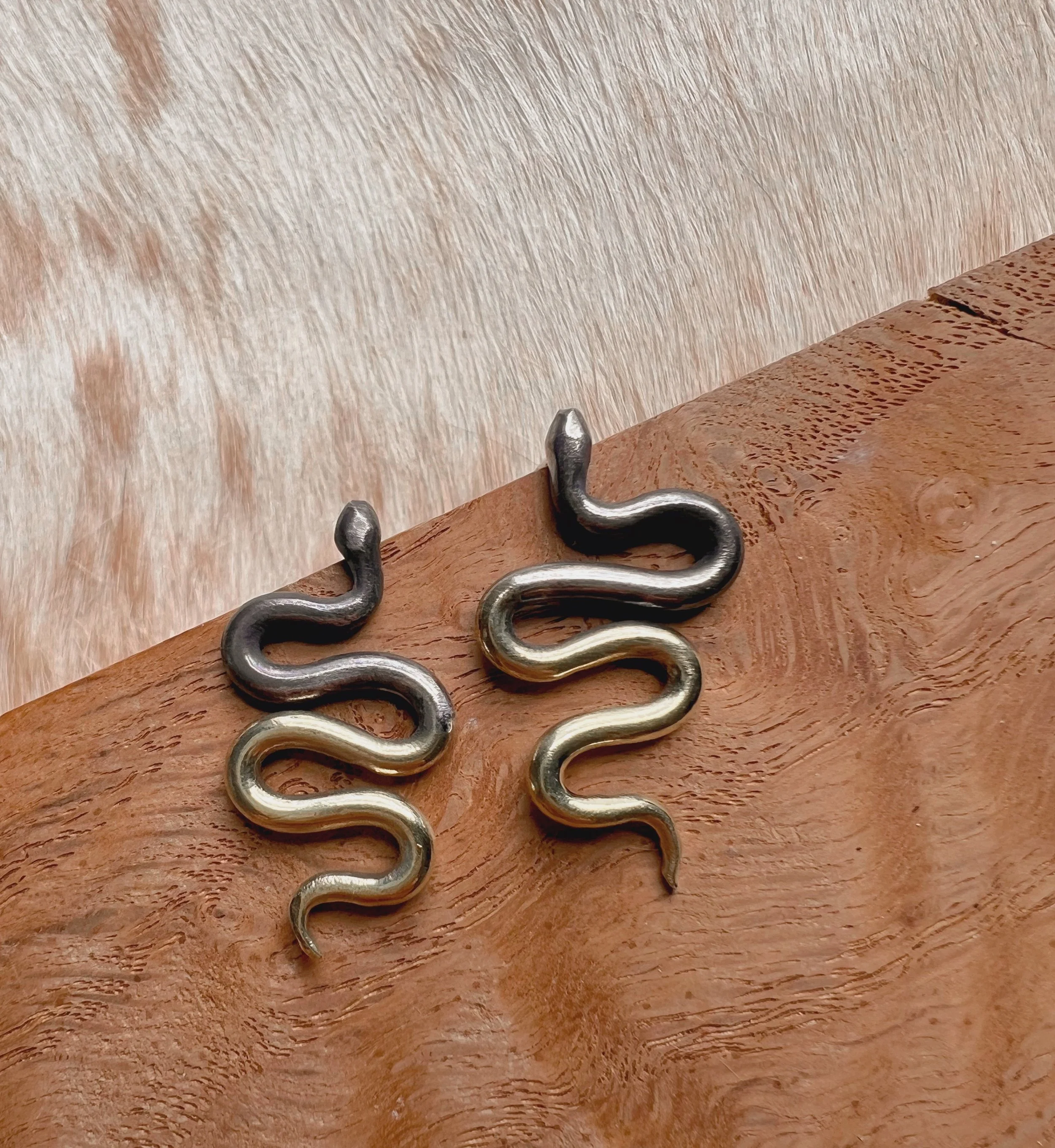 Ombre Snake Earrings