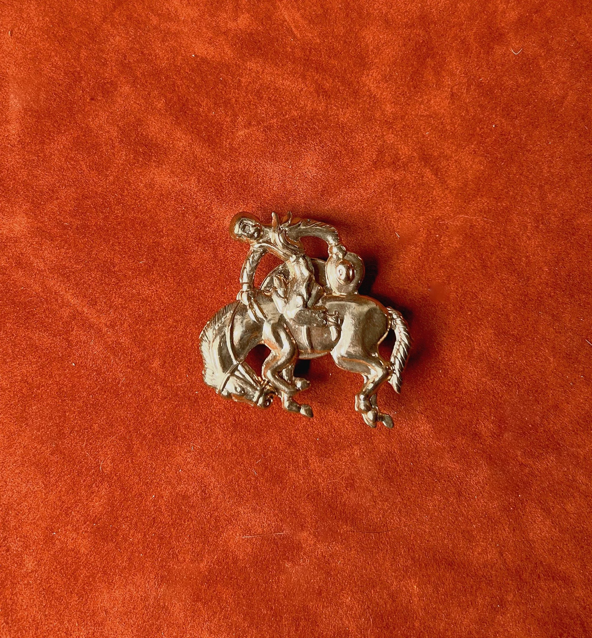 Vintage Western button covers