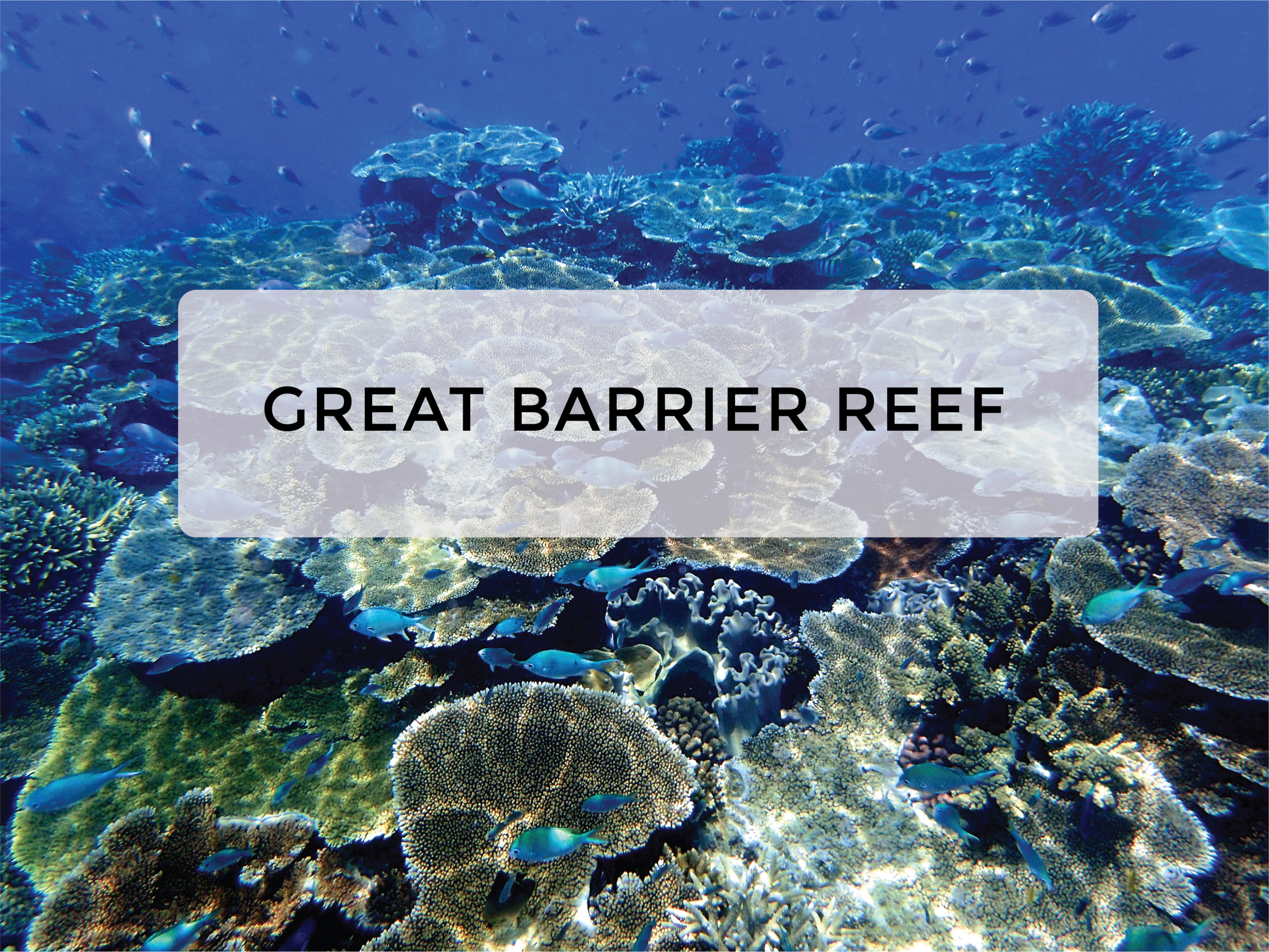 GBR cover photo.png