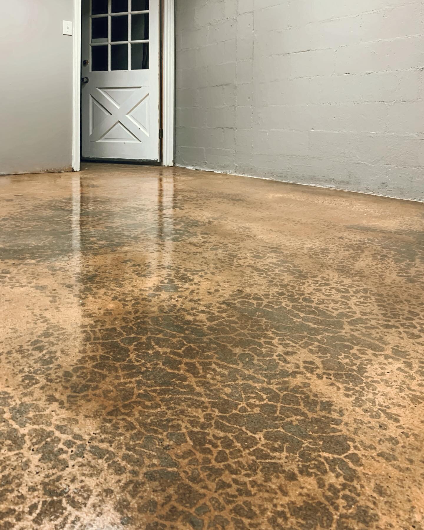 Sealed concrete comes in all colors. 🎨 What does your concrete canvas look like? 

Meeting both aesthetic and functionality goals, sealing your concrete ensures your slab is dense and able to repel water, oil, and other surface contamination.

See i