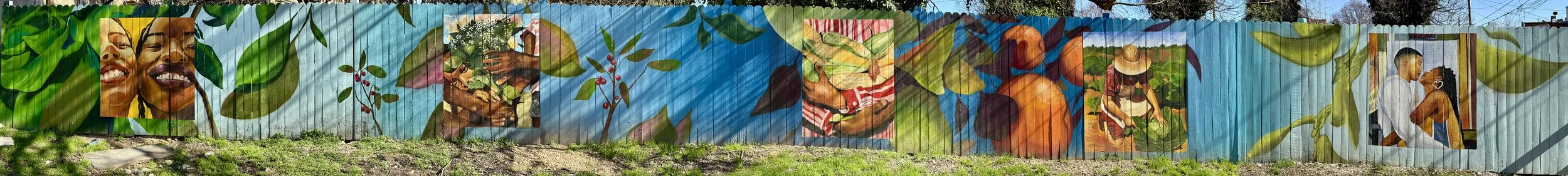 edit Druid Heights - stitched pic.jpg