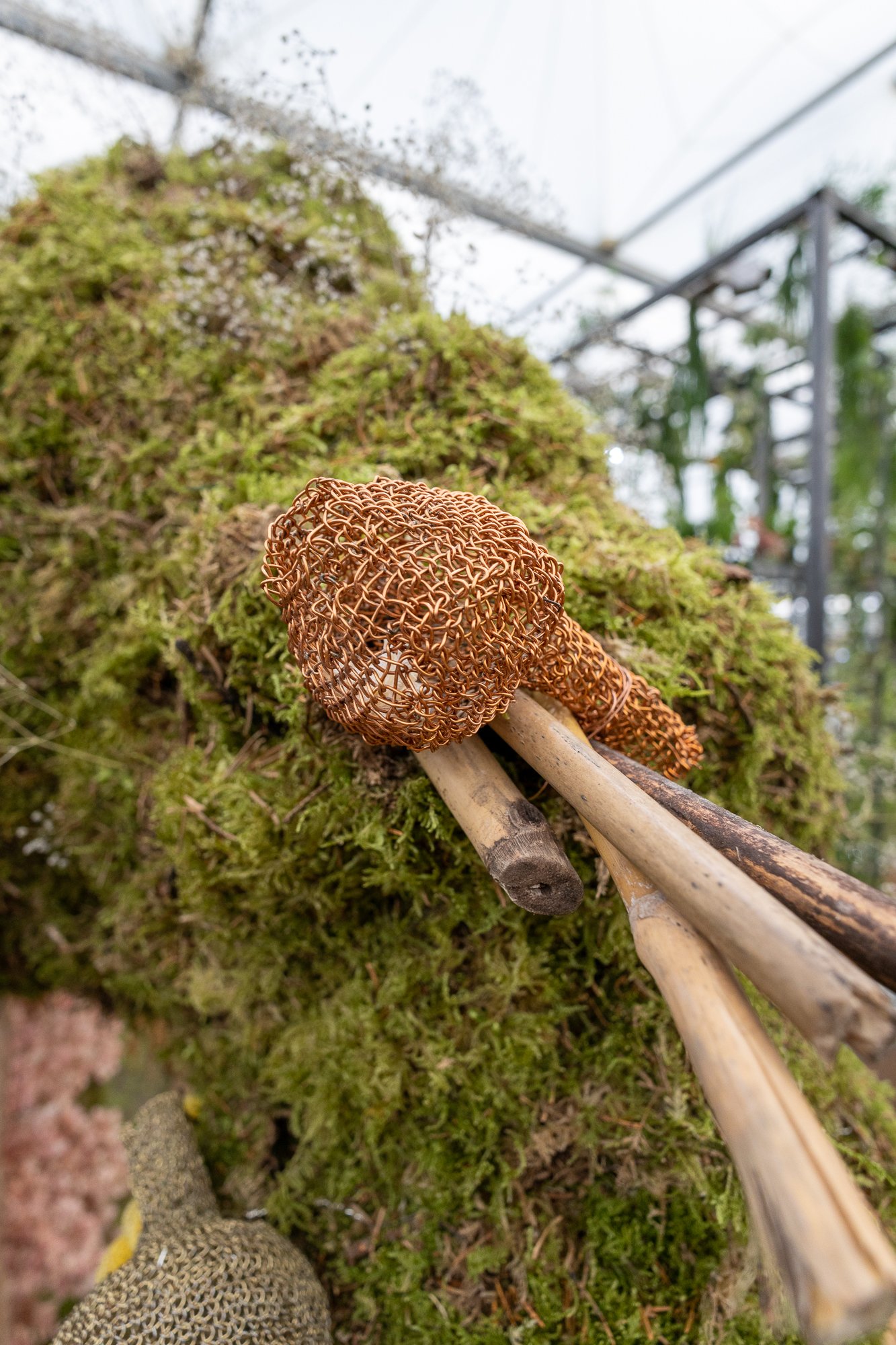 Harriet Parry-Klint-RHSChelsea23©EllieWalpole-LR-6.jpg